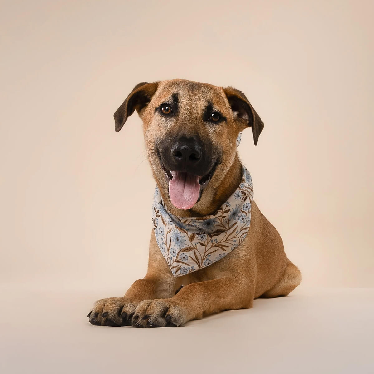 The Paws Bandana | Willow