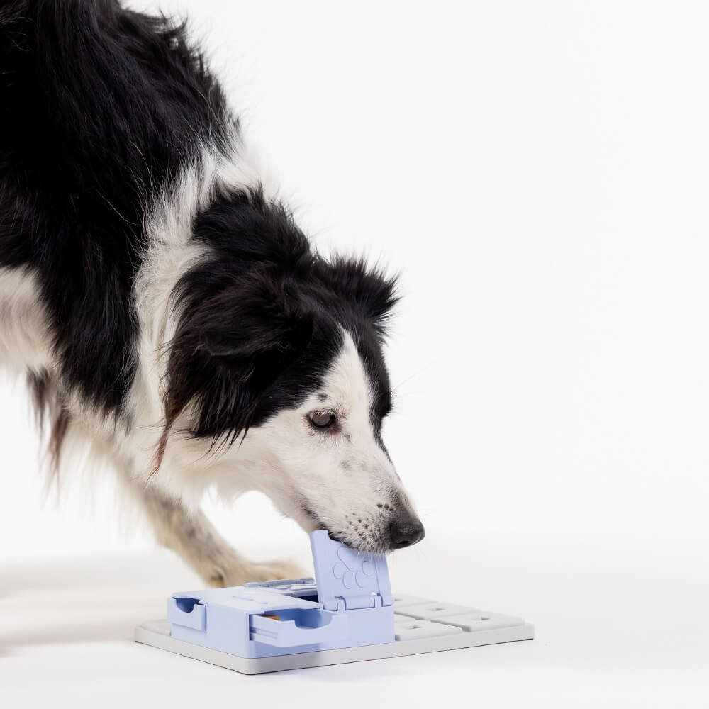 Pawzler Modular Dog Puzzle | Bunny