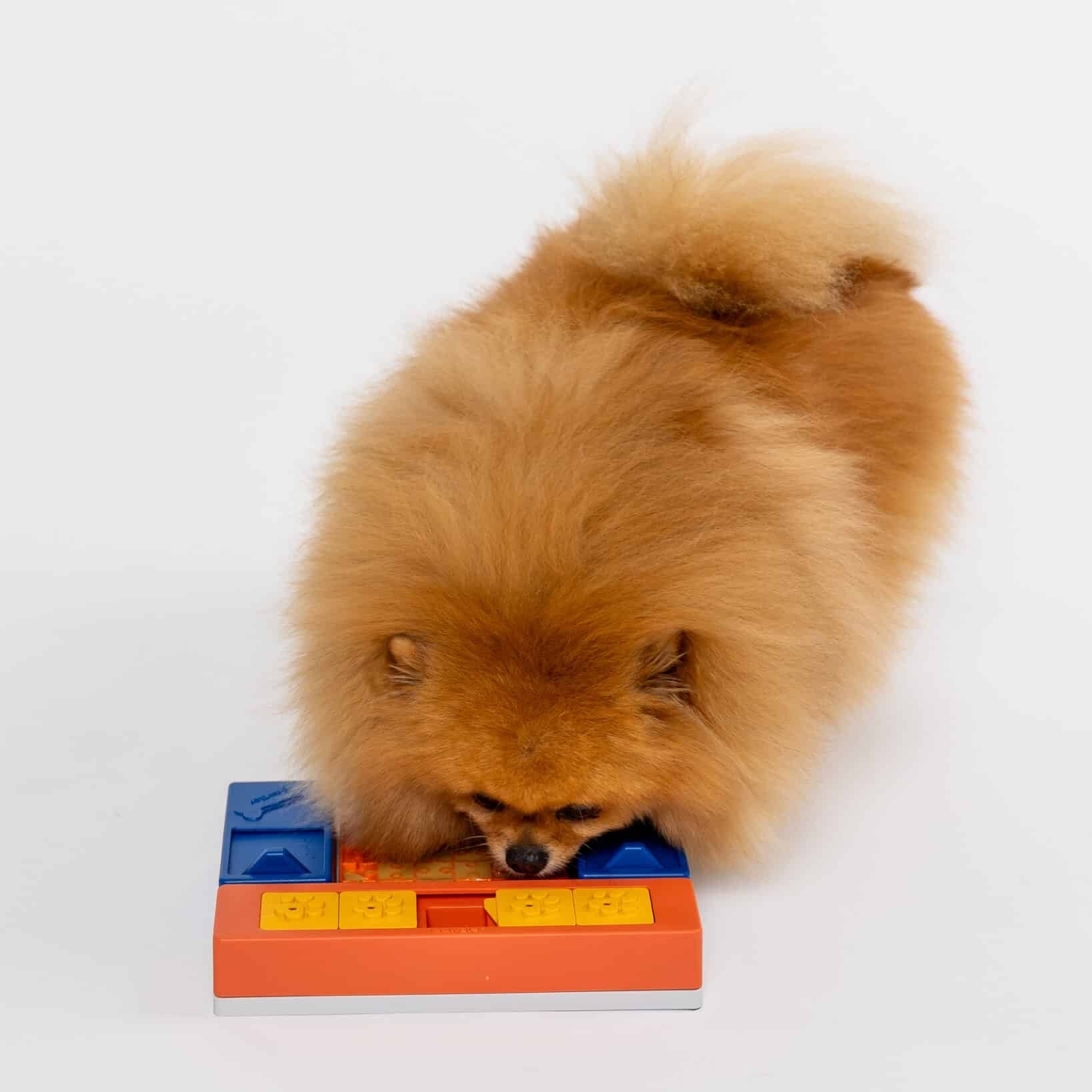 Pawzler Modular Dog Puzzle Set | Beginner