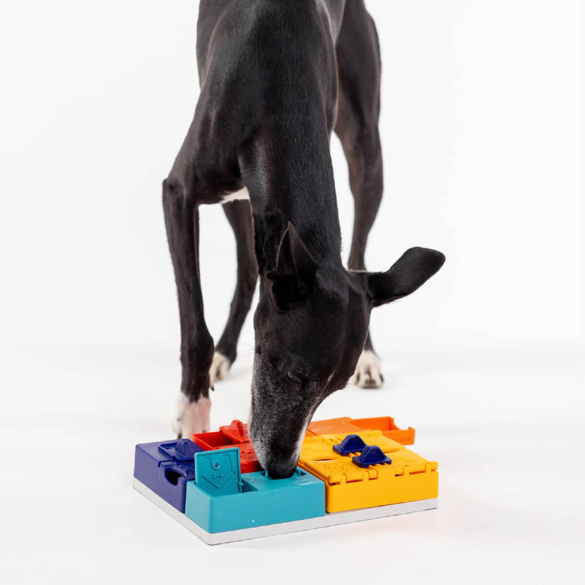 Pawzler Modular Dog Puzzle | Genius Set (Mini)