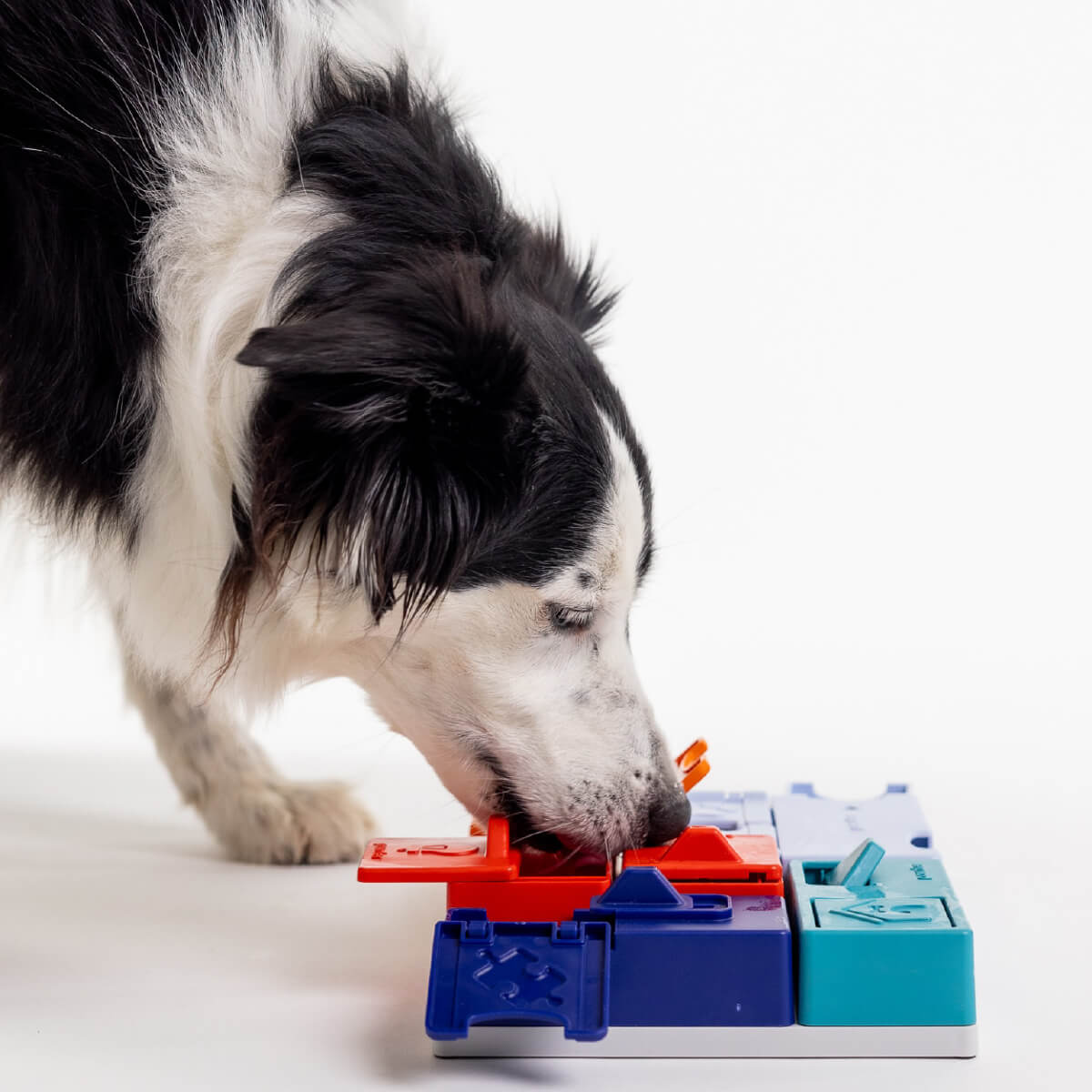 Pawzler Modular Dog Puzzle | Genius Set (Mega)