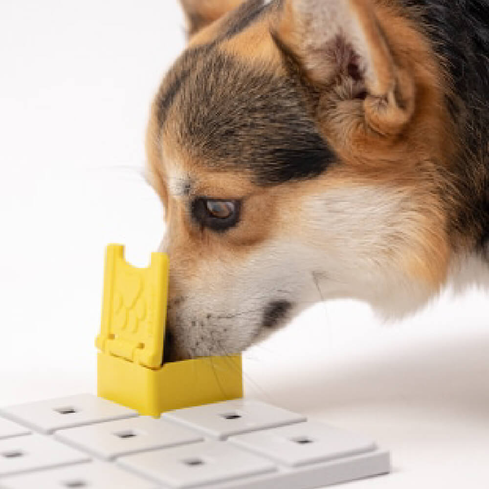 Pawzler Modular Dog Puzzle | Zoey (Set of 2)