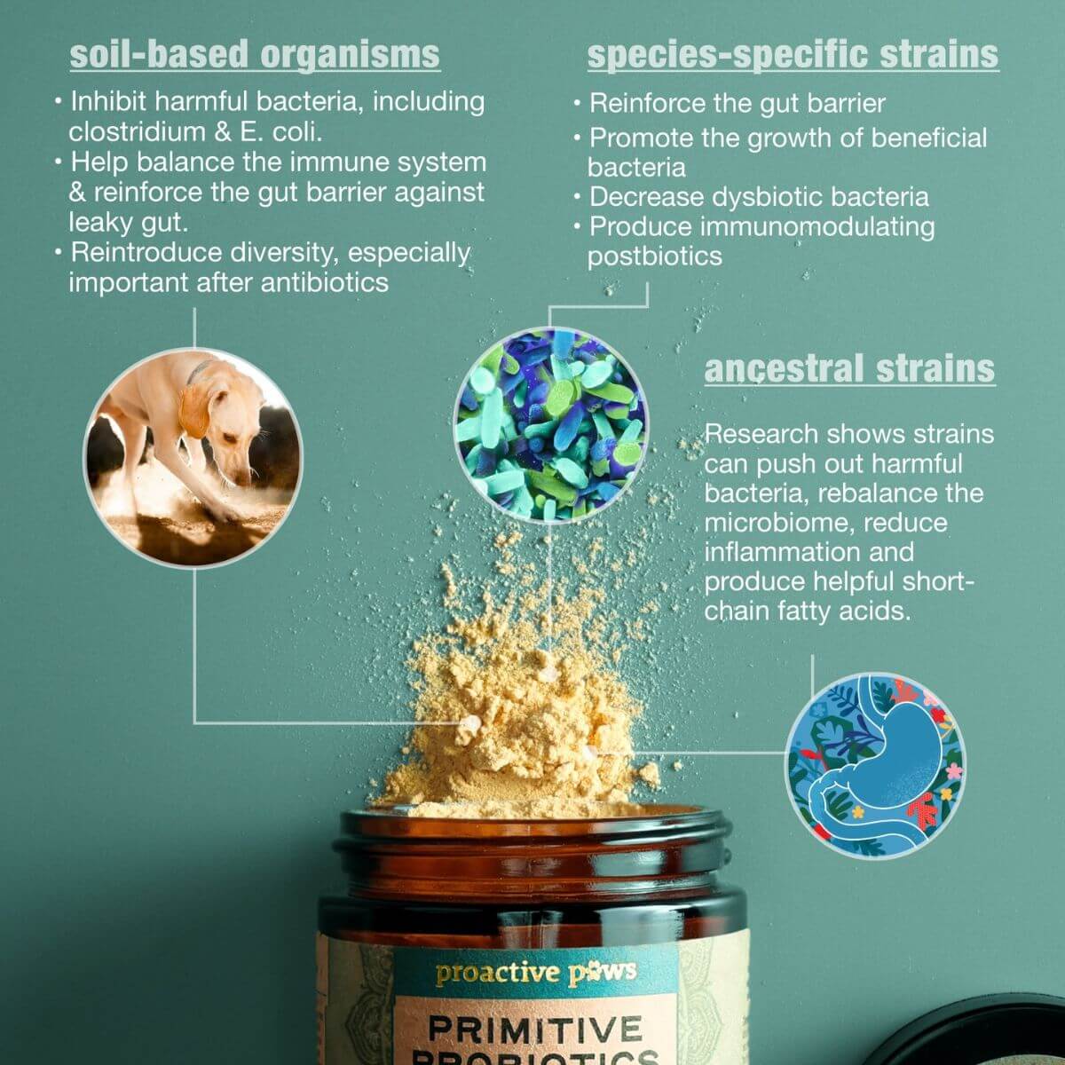Contents of Proactive Paws Primitive Probiotics™. 