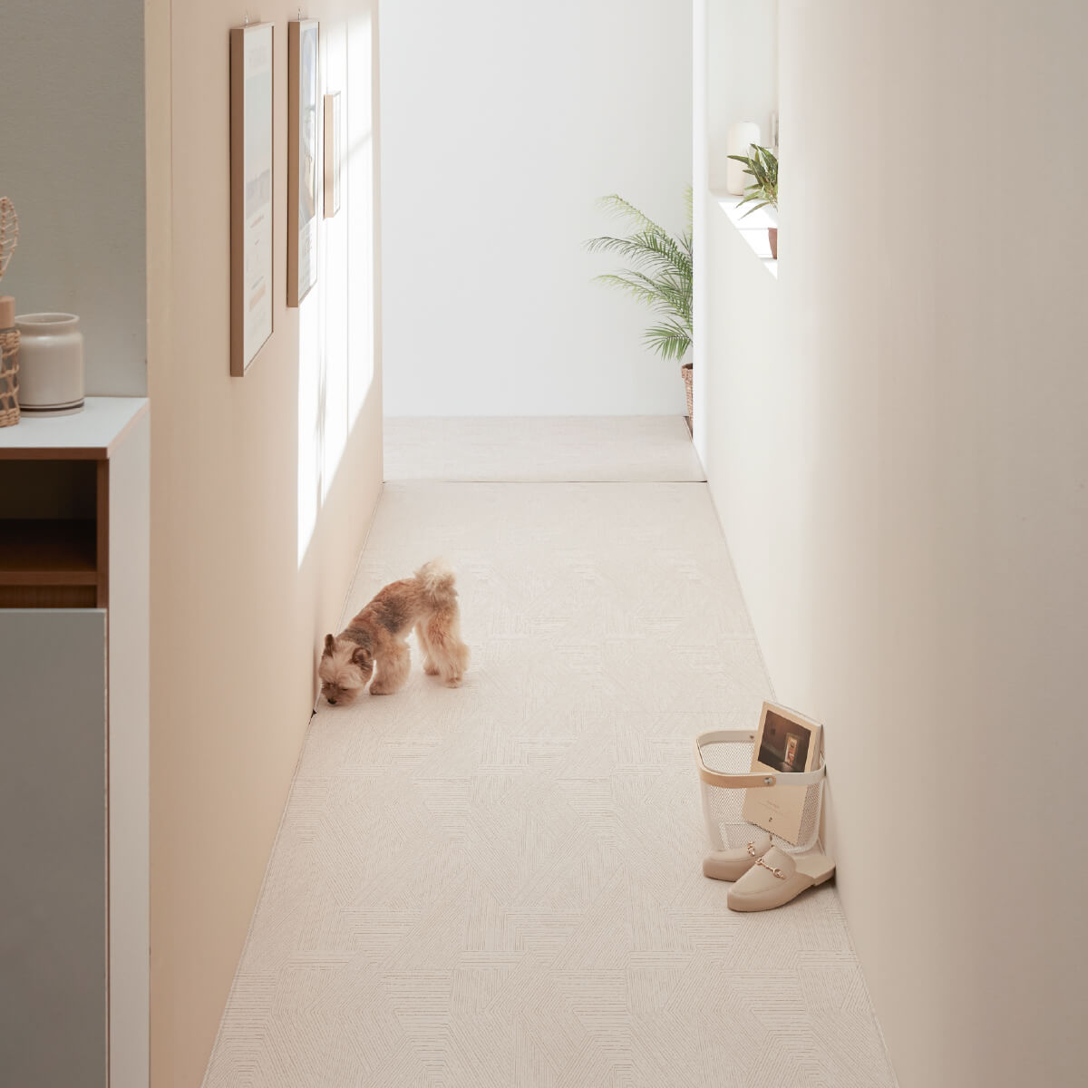 Pupping Pet Mat Aisle Type Modern Design