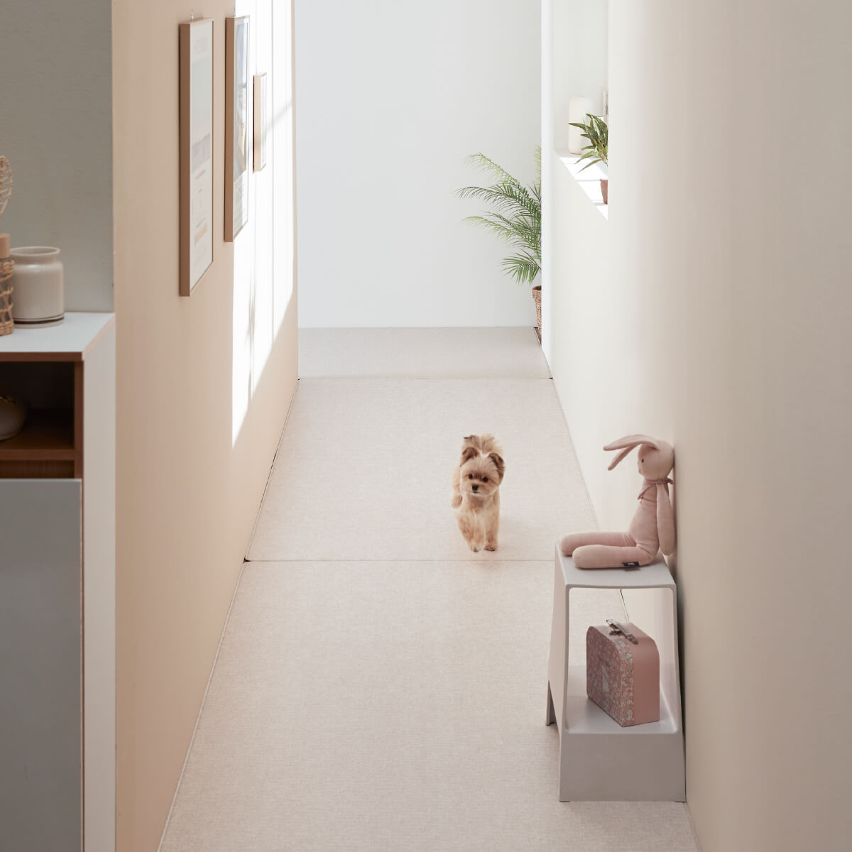 Pupping Pet Mat Aisle Type Modern Design