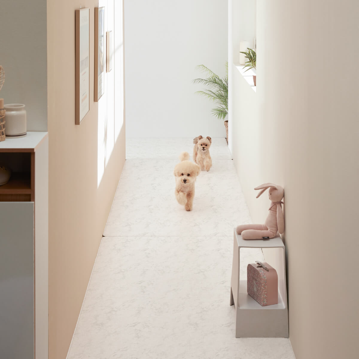 Pupping Pet Mat Aisle Type Modern Design
