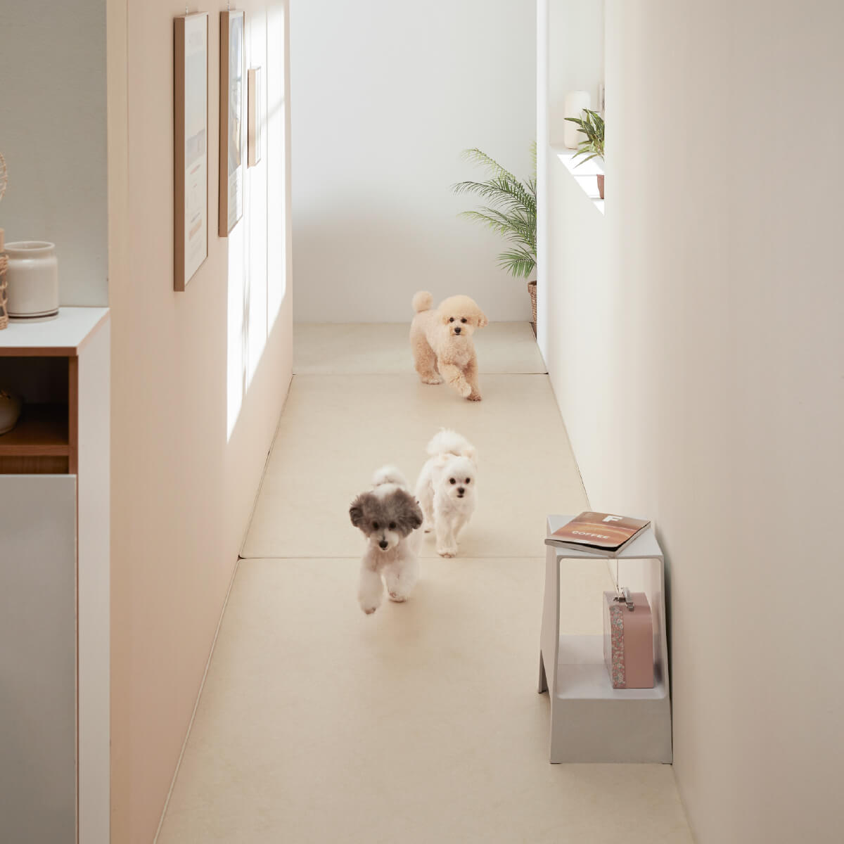 Pupping Pet Mat Aisle Type Modern Design