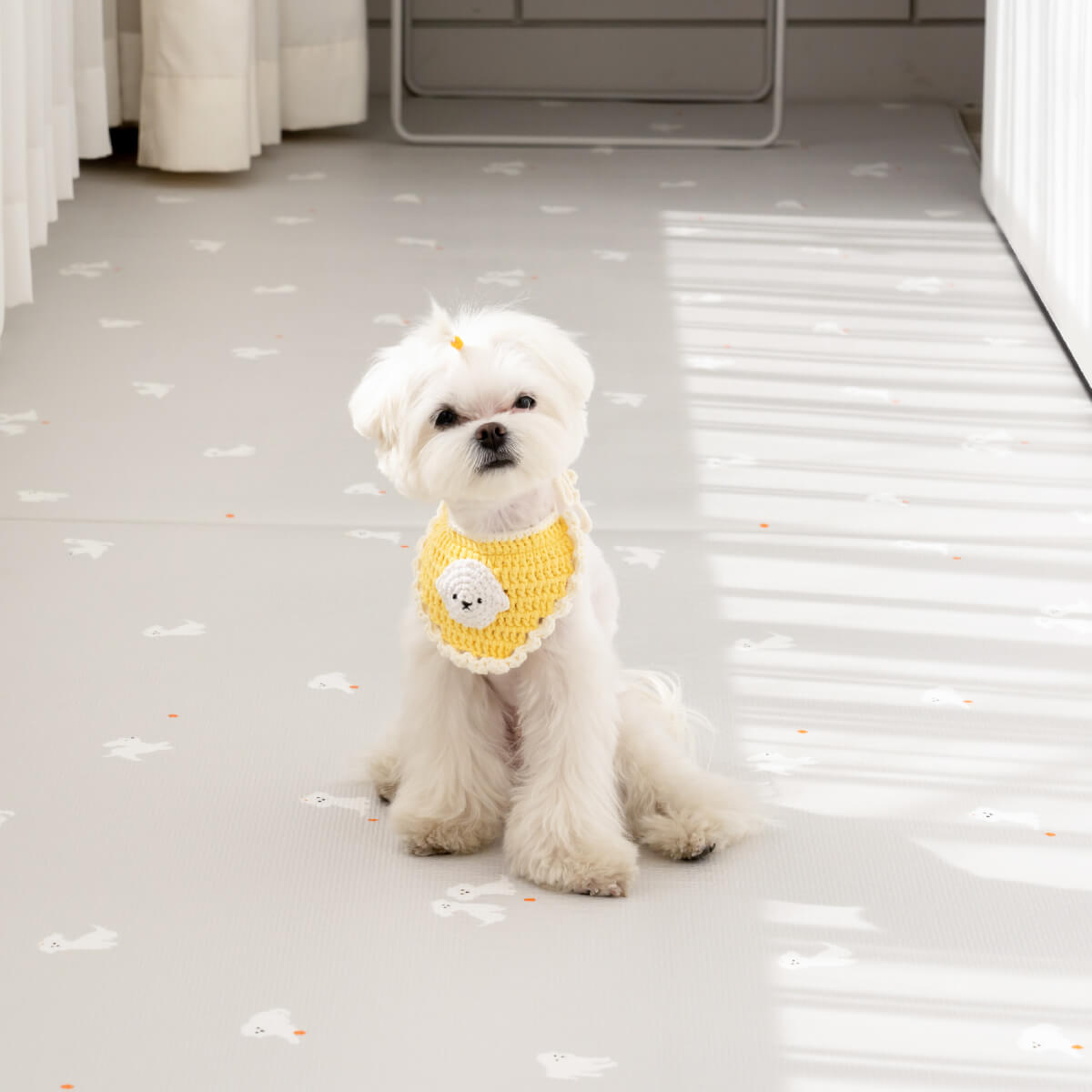 Pupping Pet Mat Aisle Type Dog Breed Design