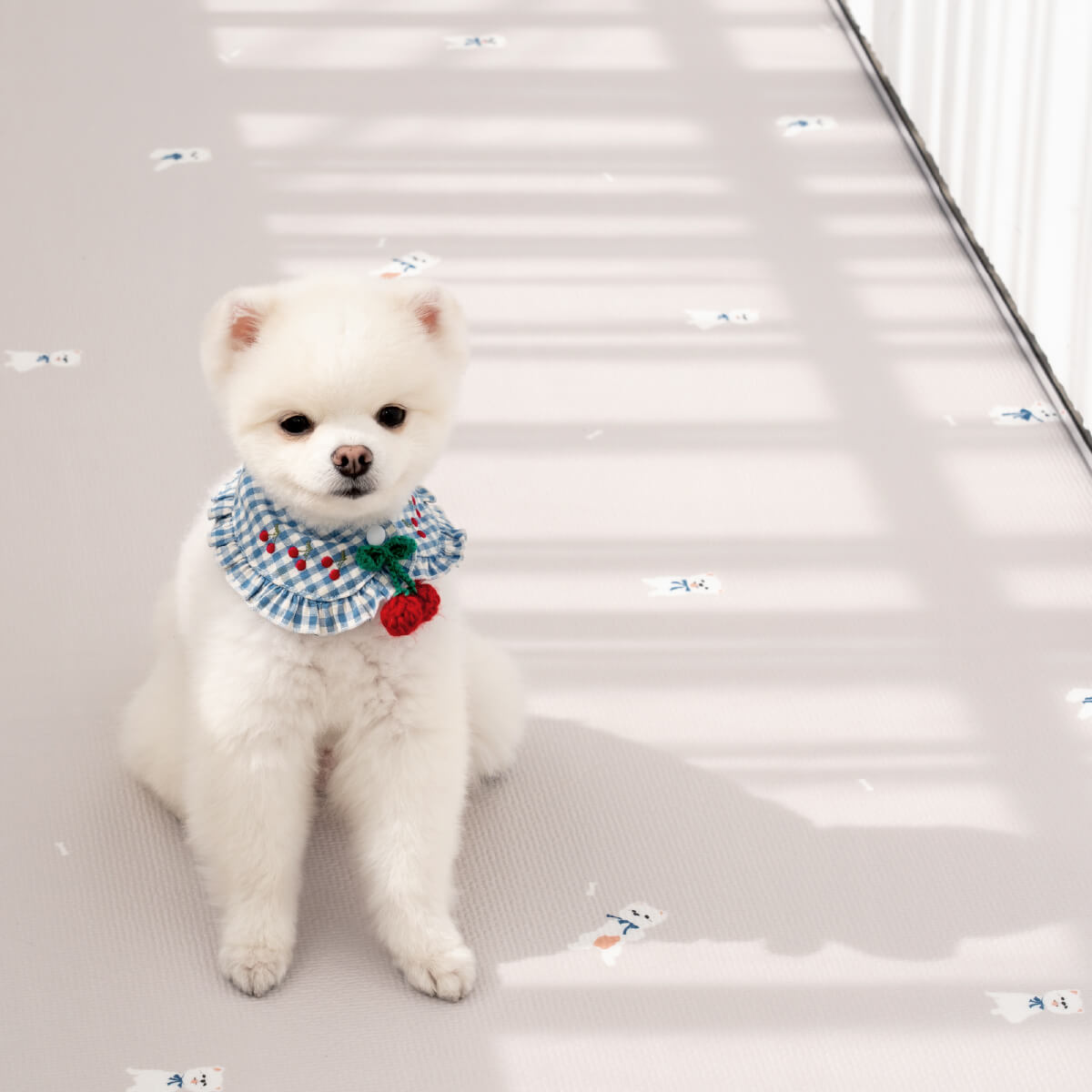 Pupping Pet Mat Aisle Type Dog Breed Design