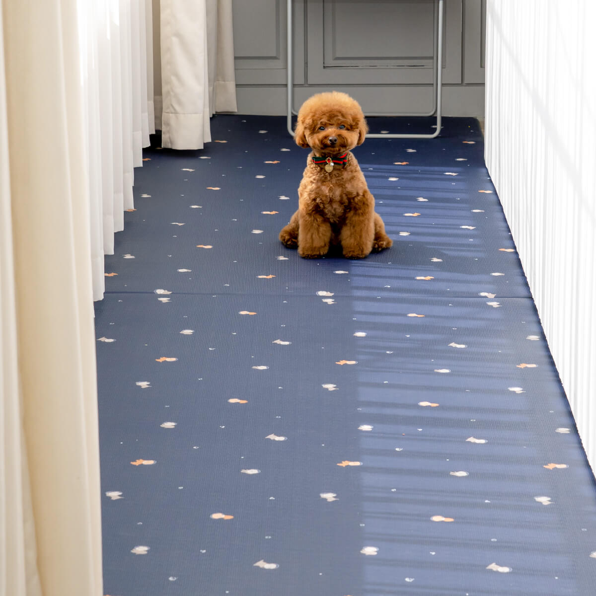 Pupping Pet Mat Aisle Type Dog Breed Design