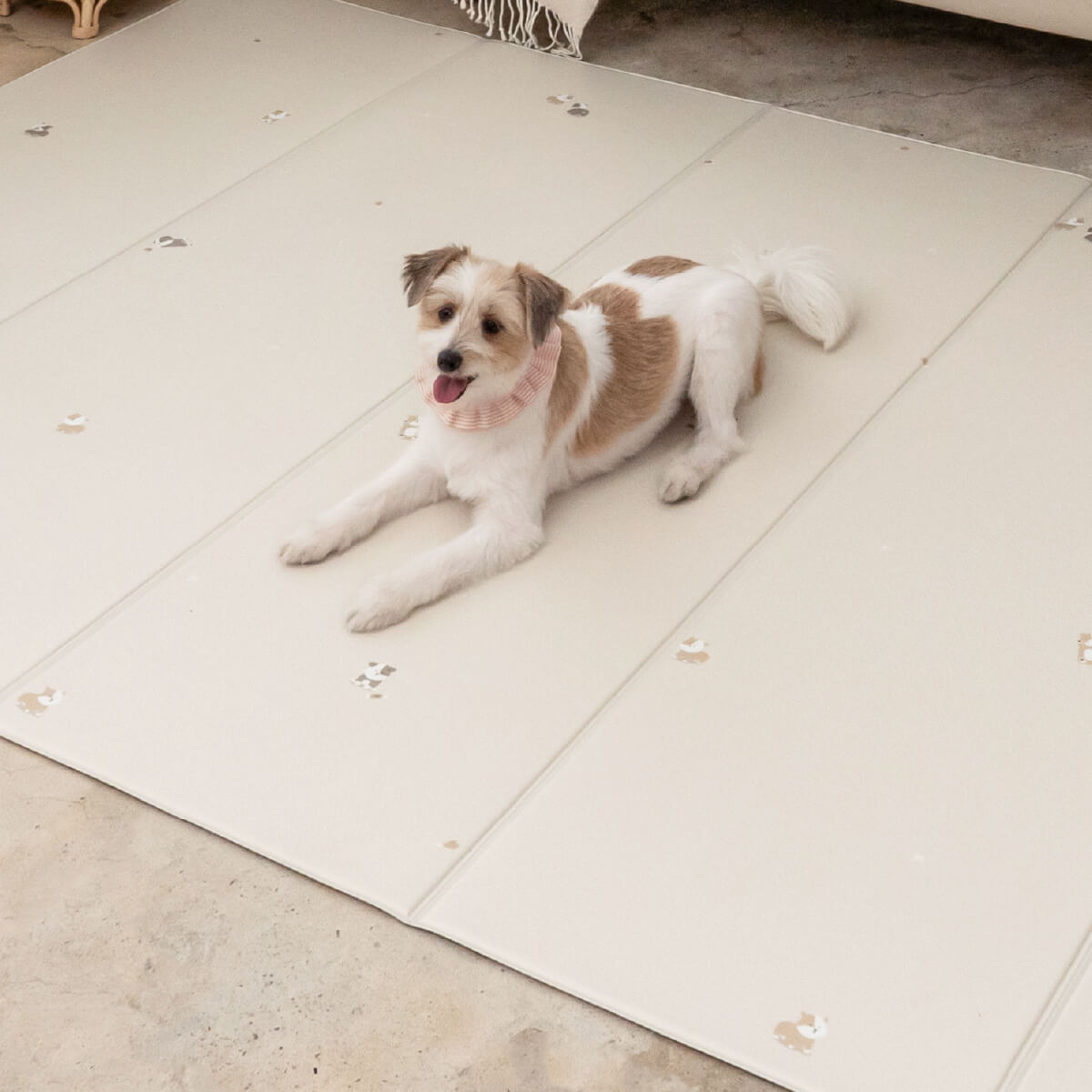 Pupping Pet Mat Folding Type Dog Breed Design