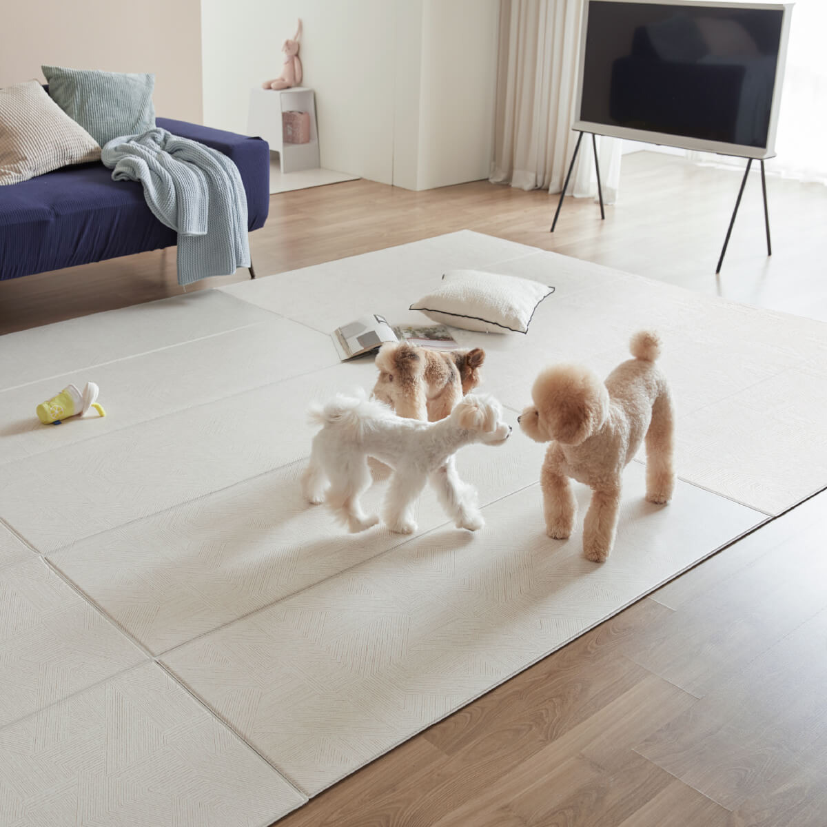 Pupping Pet Mat Folding Type | Modern Design
