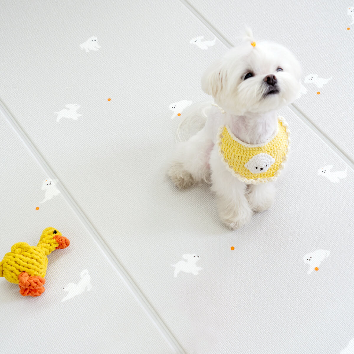 Pupping Pet Mat Folding Type Dog Breed Design