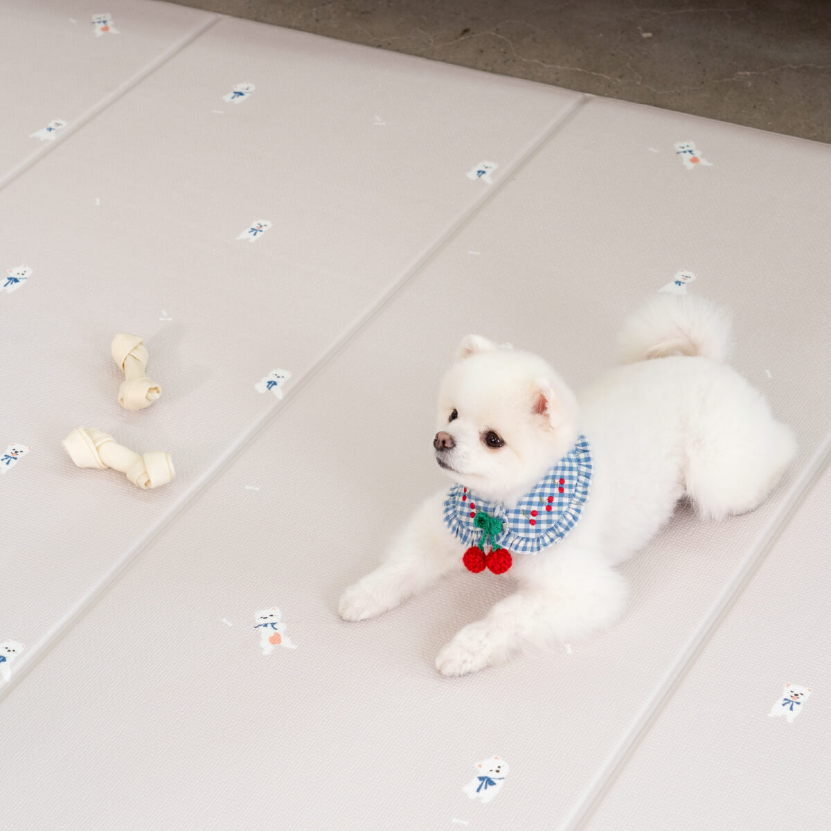 Pupping Pet Mat Folding Type Dog Breed Design
