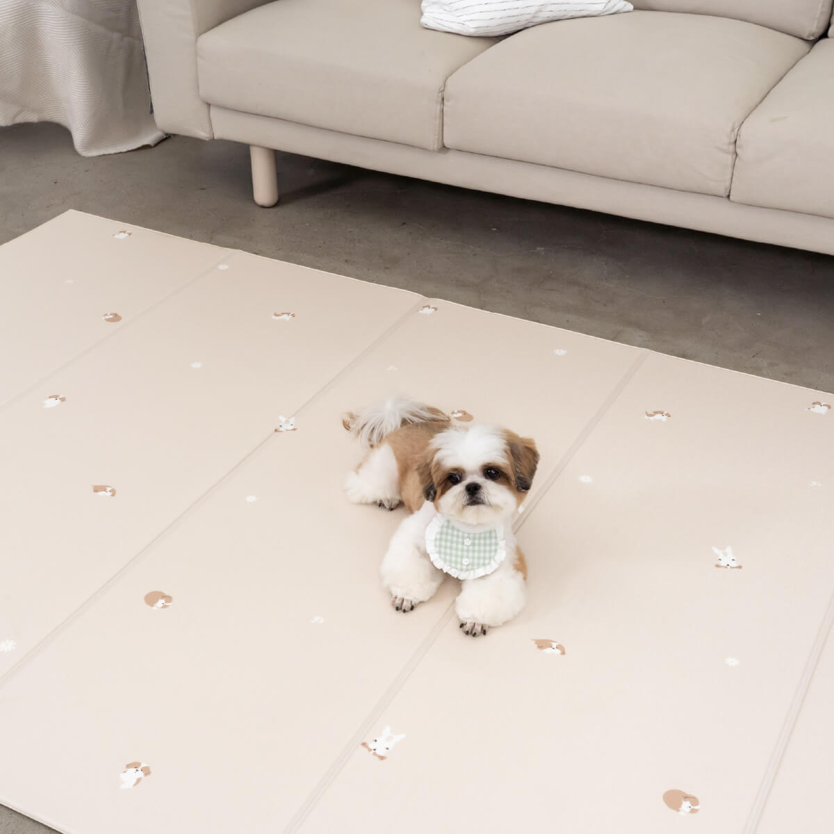 Pupping Pet Mat Folding Type Dog Breed Design