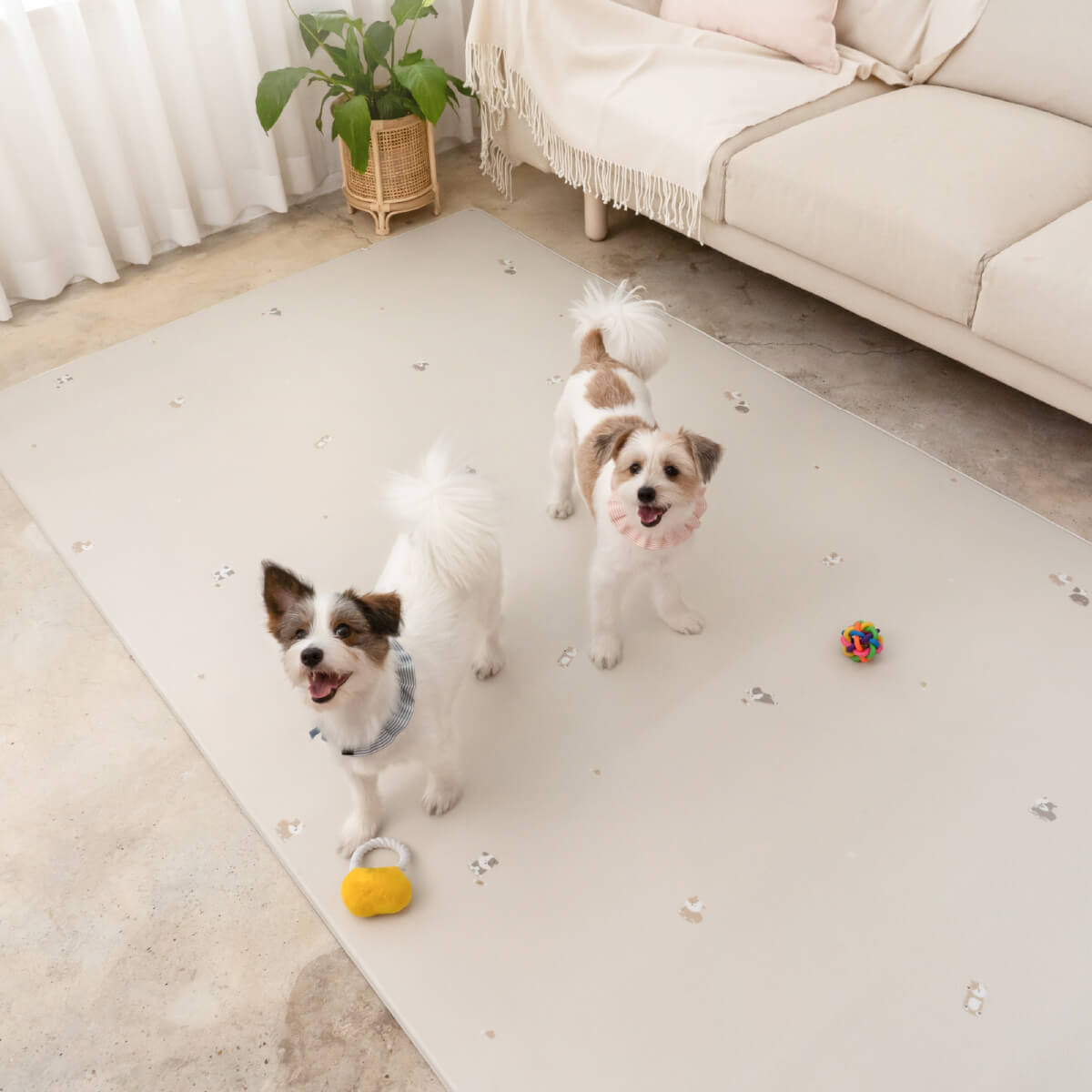 Pupping Pet Mat Rug Type Dog Breed Design