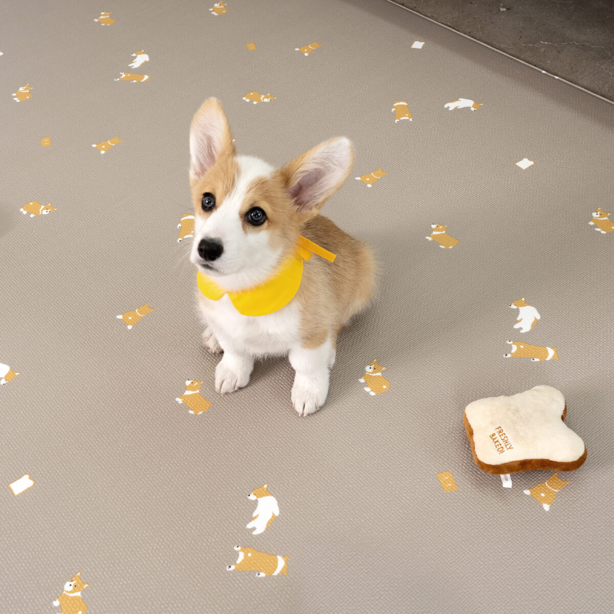 Pupping Pet Mat Rug Type Dog Breed Design