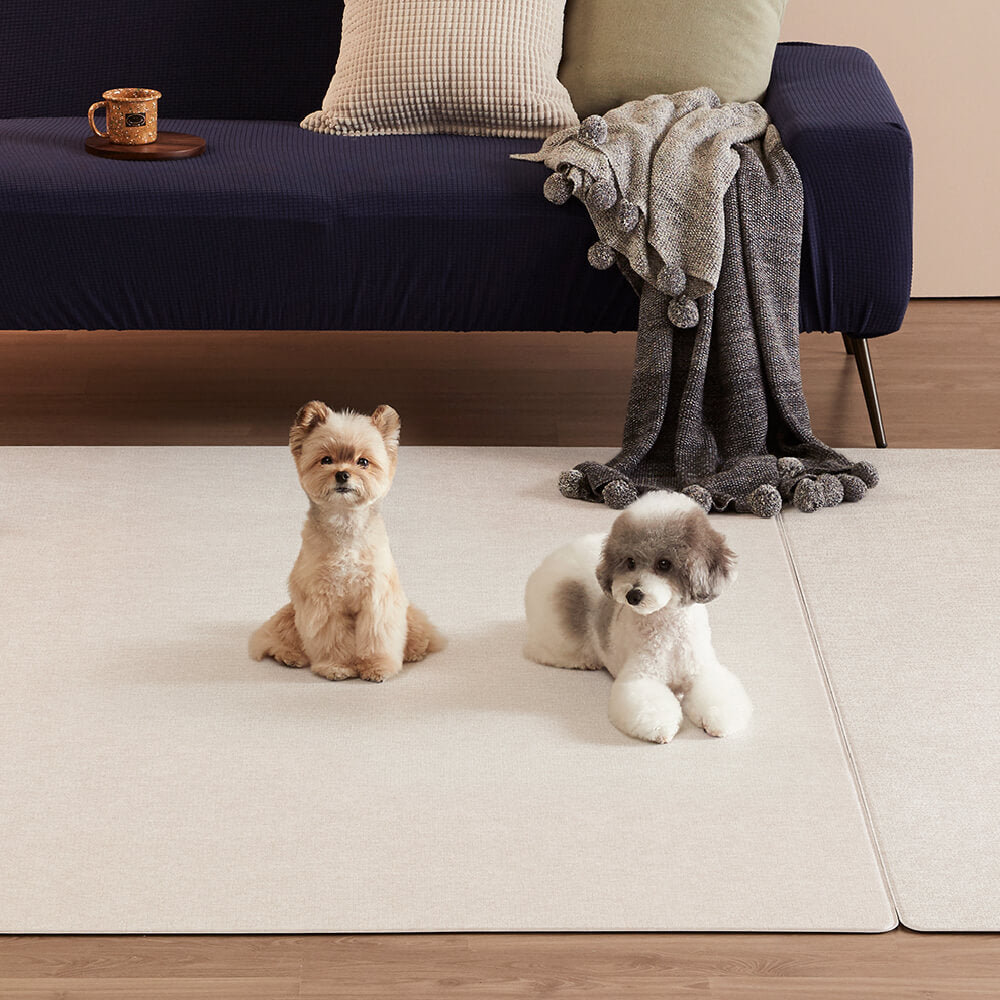 Pupping Pet Mat Rug Type | Modern Design