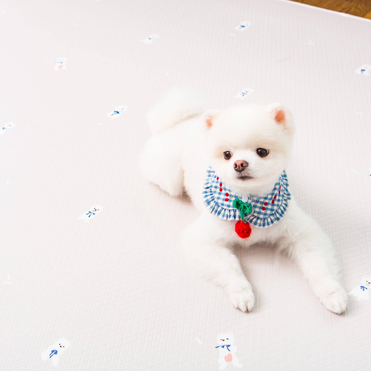 Pupping Pet Mat Rug Type Dog Breed Design