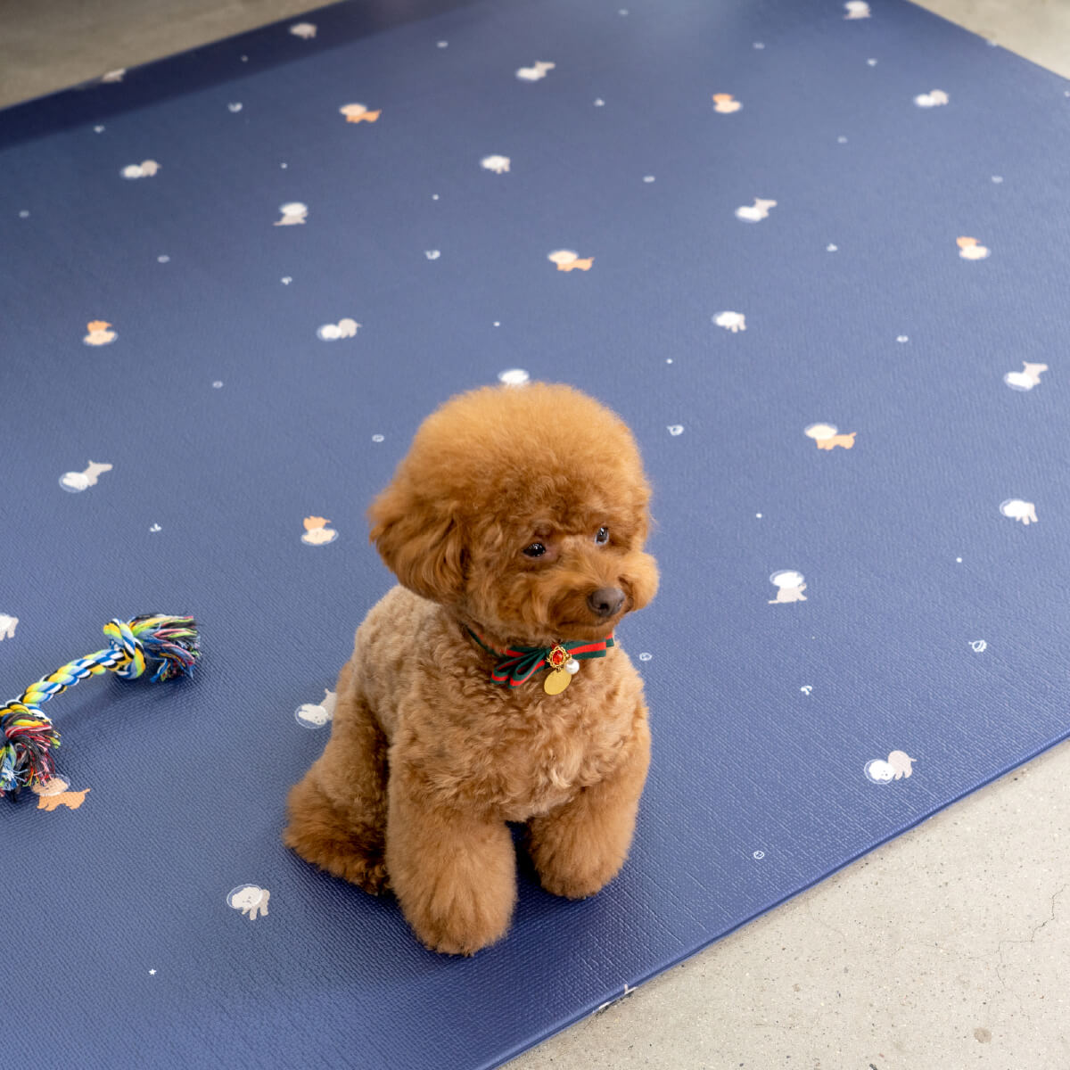 Pupping Pet Mat Rug Type Dog Breed Design