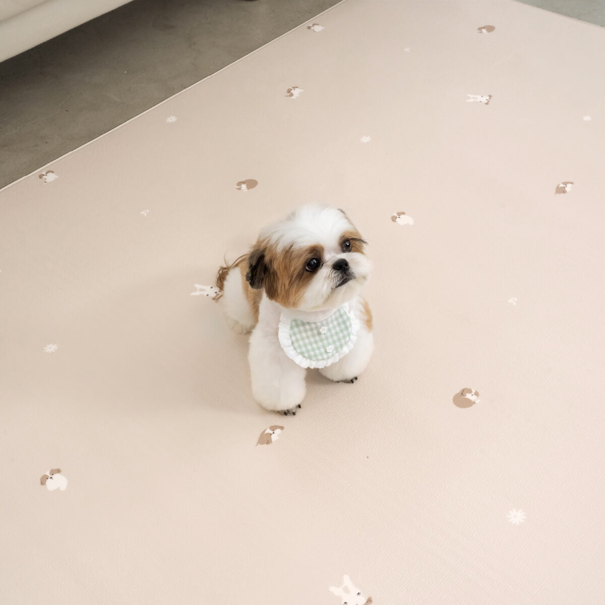 Pupping Pet Mat Rug Type Dog Breed Design