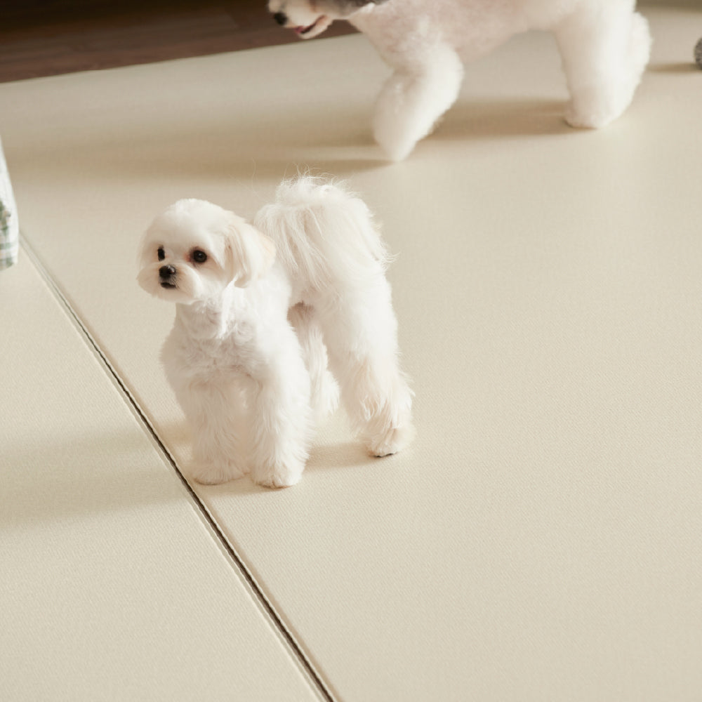 Pupping Pet Mat Rug Type | Modern Design