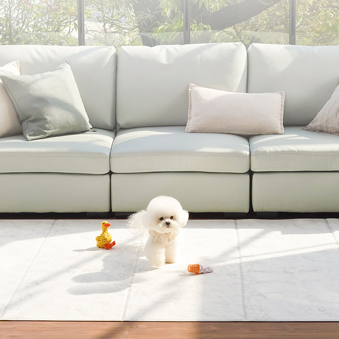 Pupping Pet Mat Folding Type | Modern Design