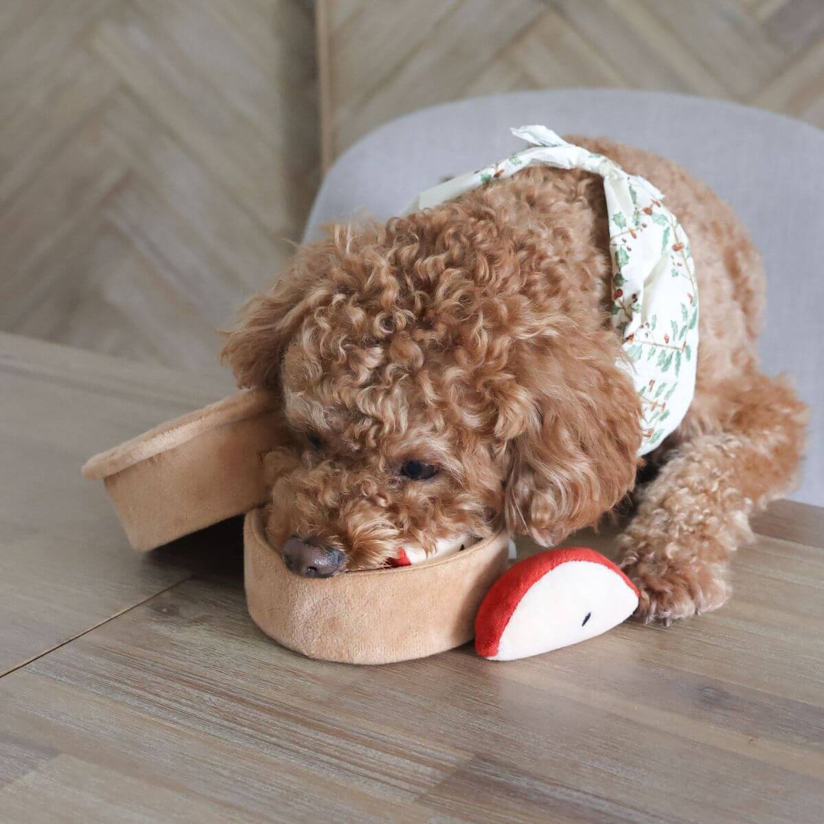 A poodle playing with the Pups and Bubs Apple Pie Nosework Toy. 