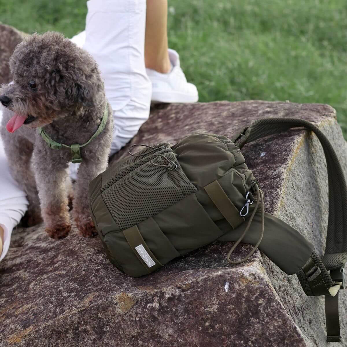 Pups & Bubs Everyday Dog Walking Bag