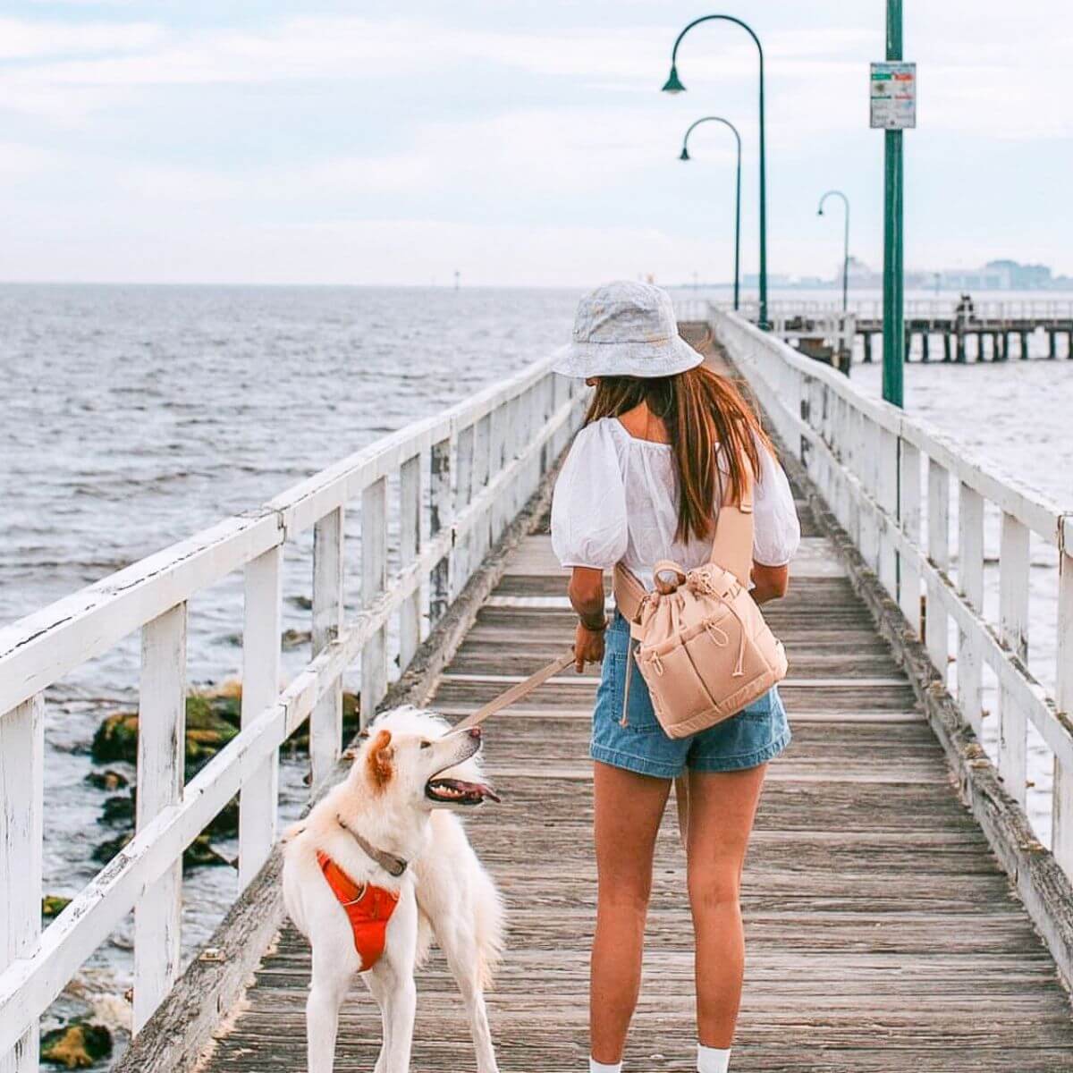 Pups & Bubs Everyday Dog Walking Bag