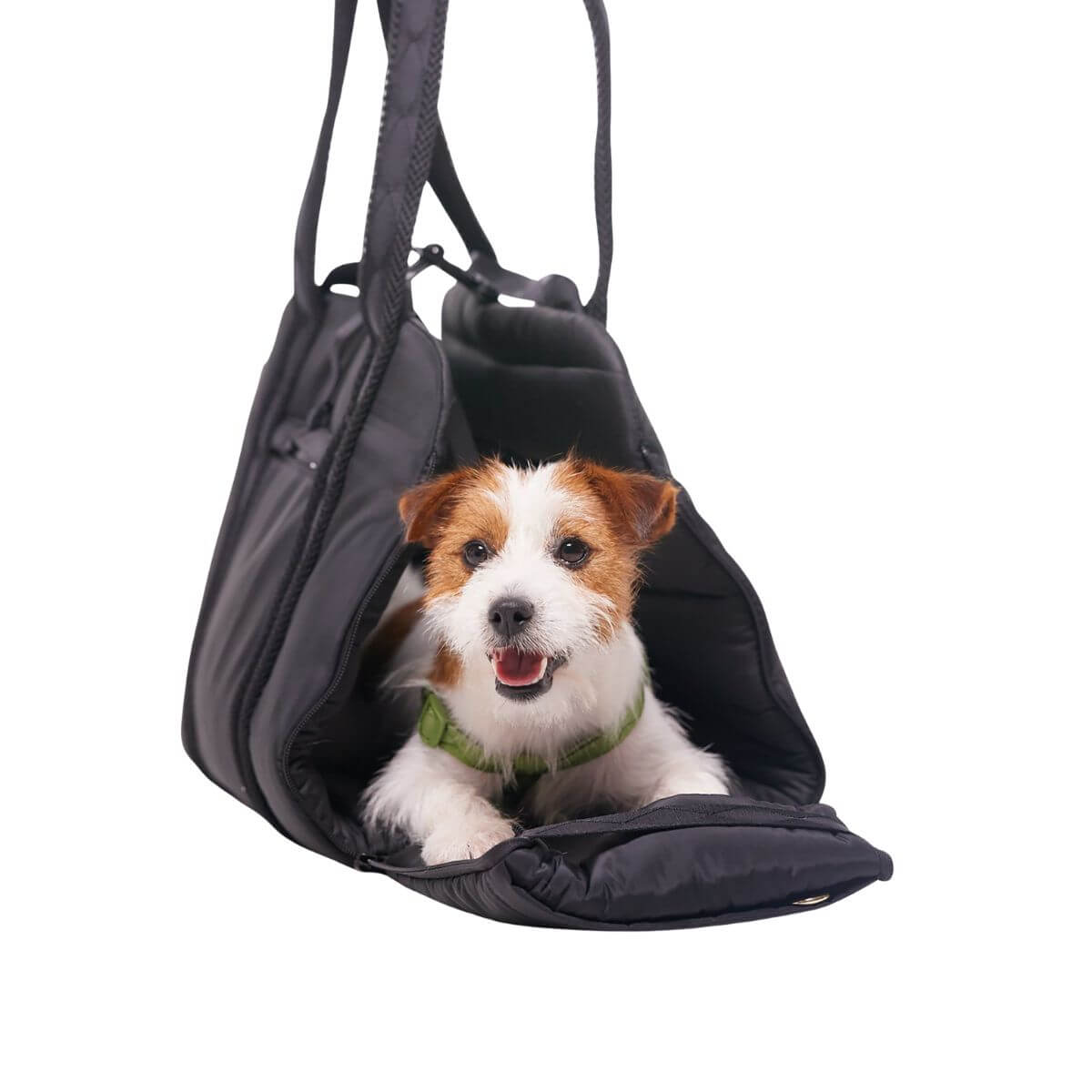 Pups and Bubs Everywhere Convertible Tote Bag Carrier in black with a Jack Russell Terrier in it.