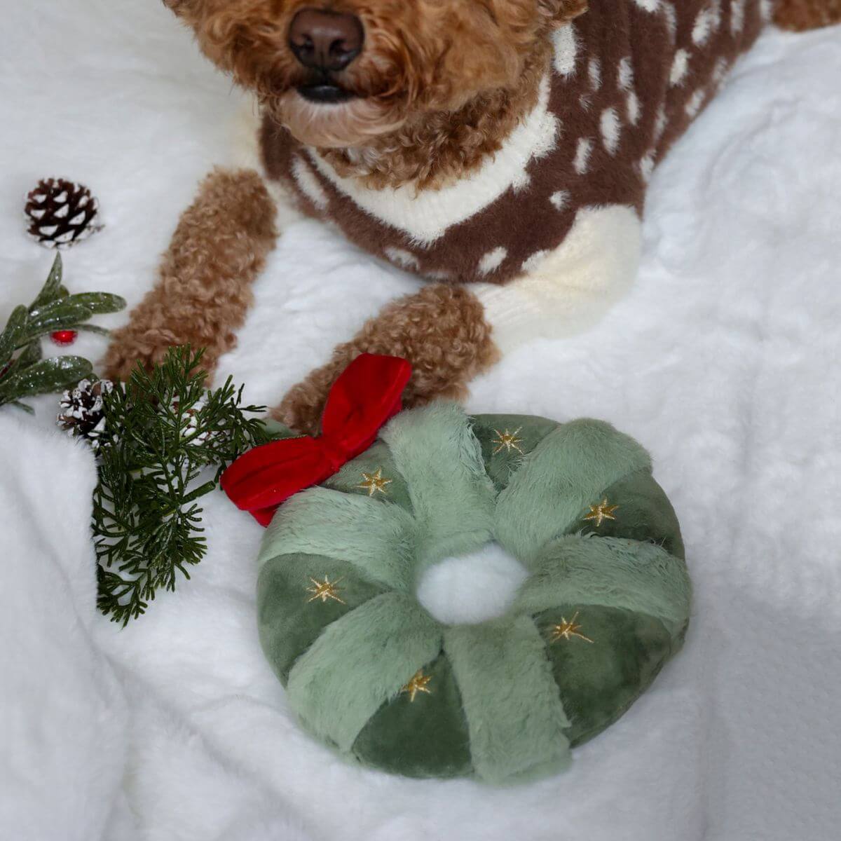 A poodle playing with the Pups & Bubs Festive Wreath Nosework Toy. 