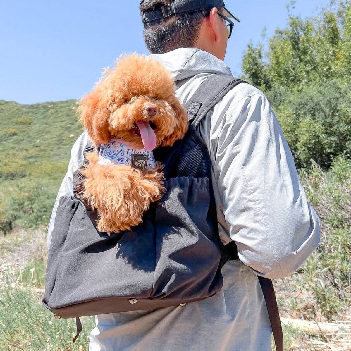 Pups and Bubs Let's Adventure Backpack in Black outdoors.