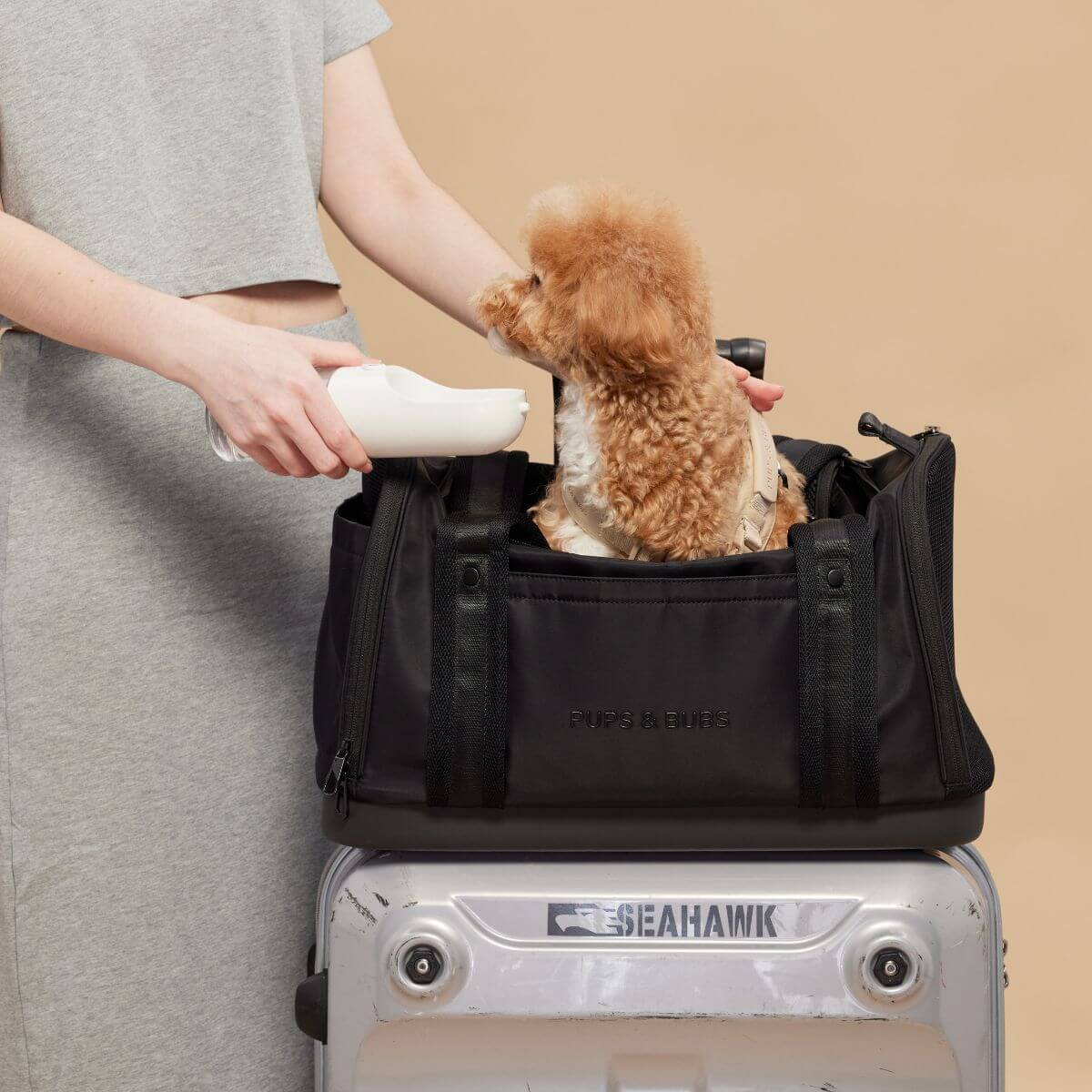 A dog peeking out of the top opening of the Pups and Bubs Onboard Travel Carrier with a woman demonstrating front pockets for storage.