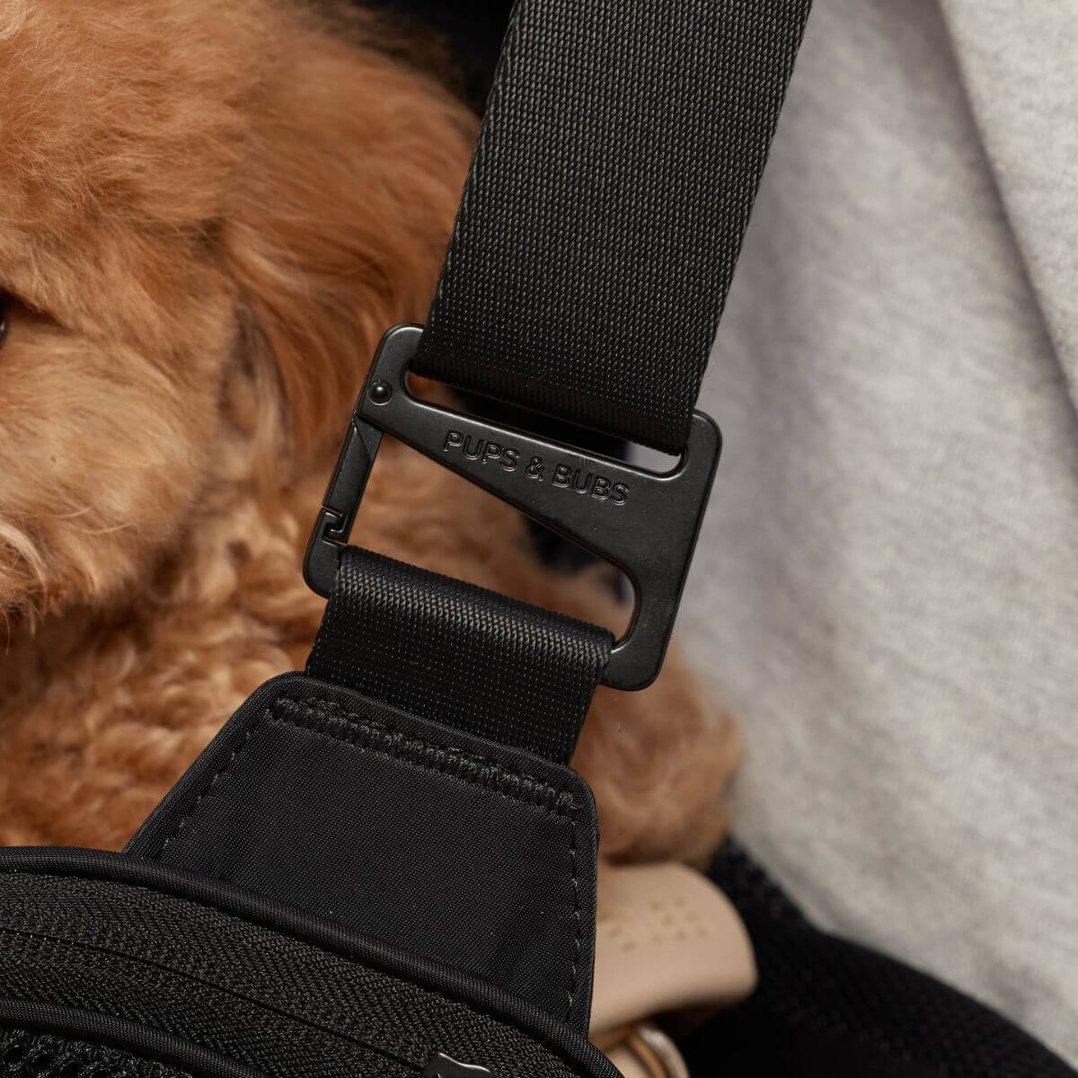Pups and Bubs Onboard Travel Carrier safety carabiner. 
