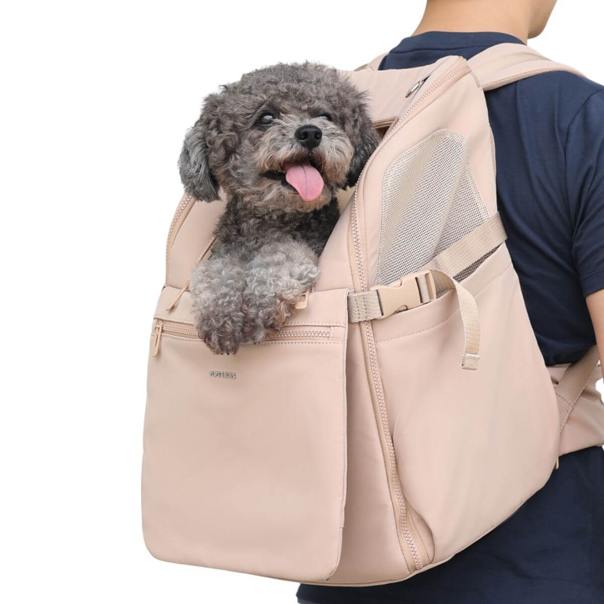 A man carrying a poodle in the Pups and Bubs Travelers Backpack in Desert, against a white background.