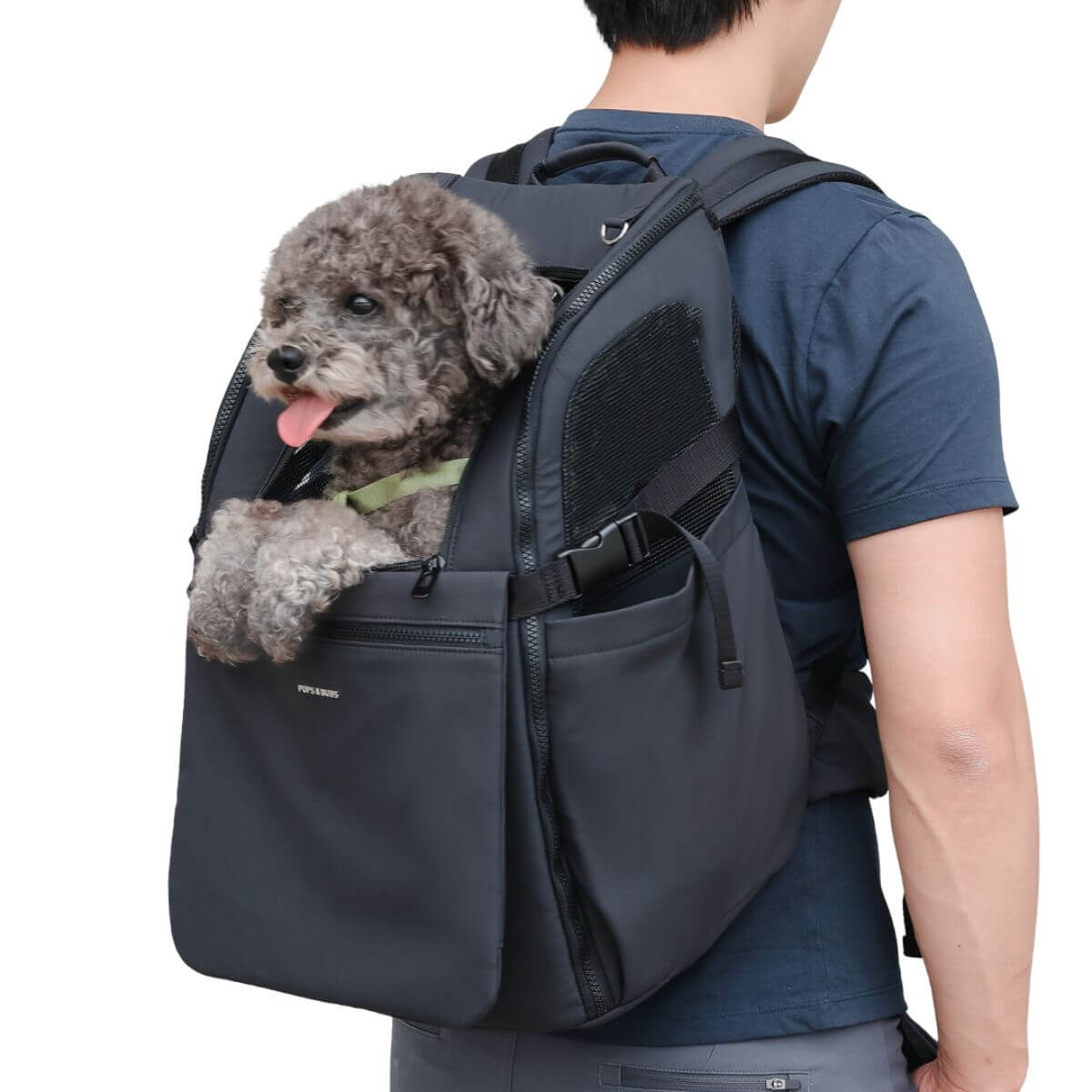 A man carrying a poodle in the Pups and Bubs Travelers Backpack in Black, against a white background.