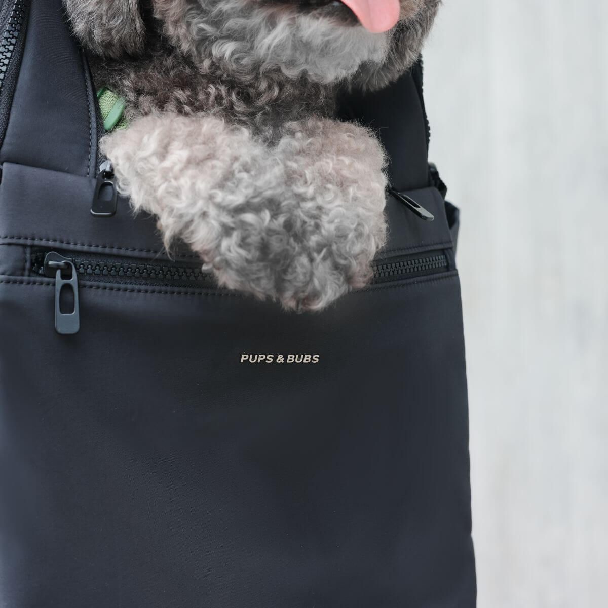 Pups & Bubs Traveler Pet Carrier Backpack