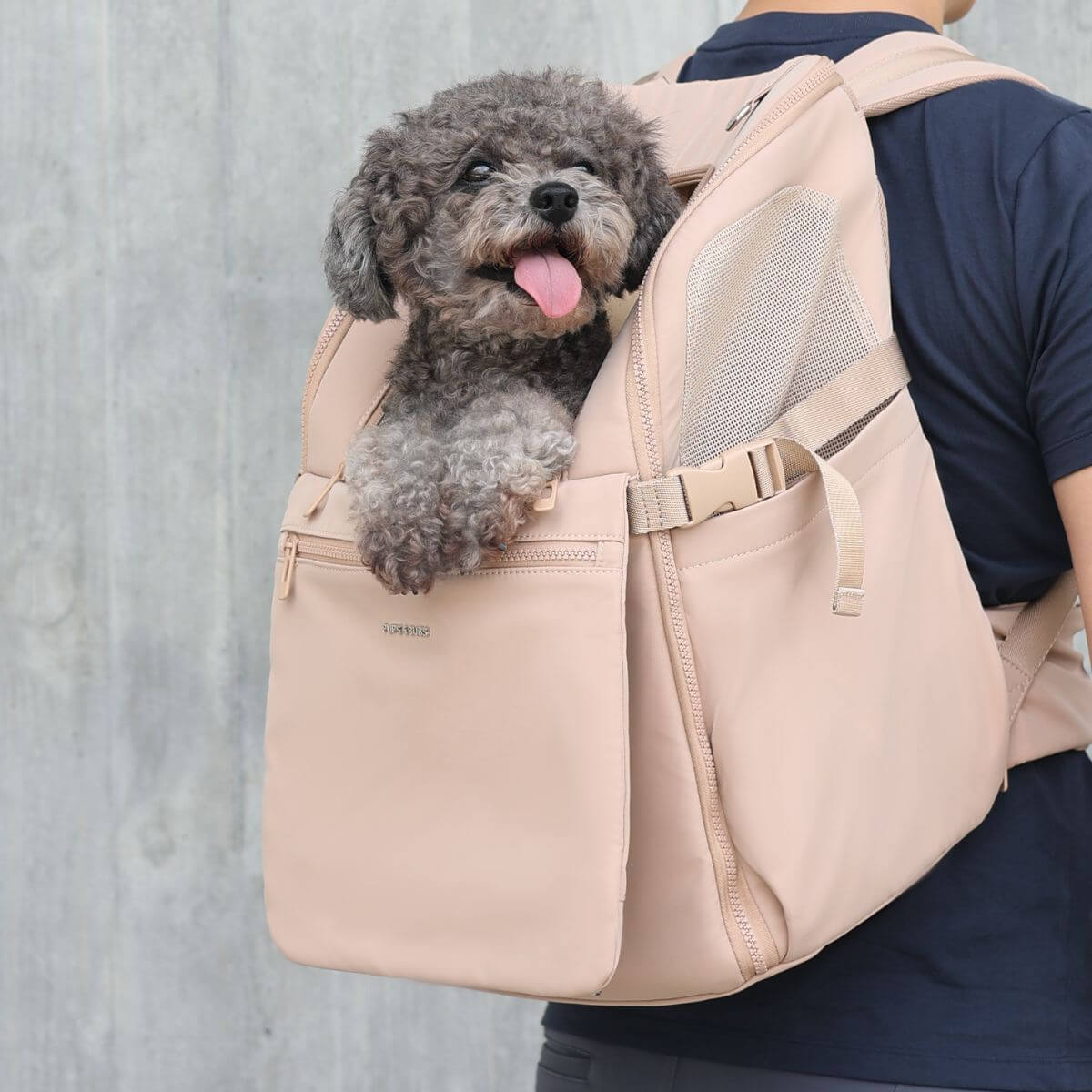 A man carrying a poodle in the Pups and Bubs Travelers Backpack in Desert. 