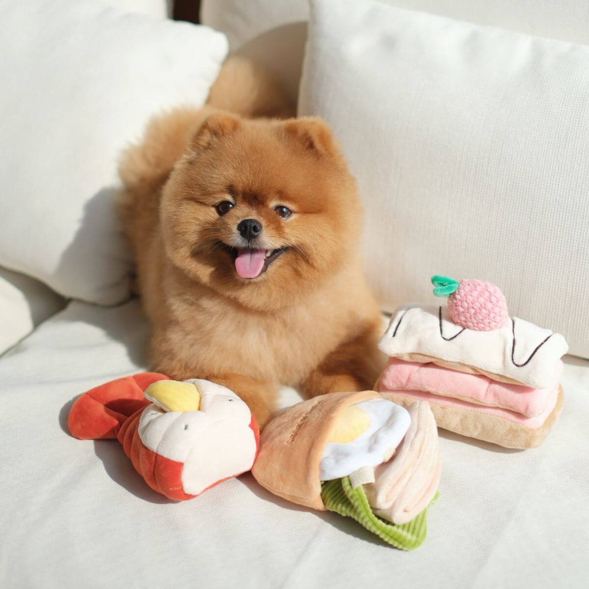 A pomeranian posing with the Pups and Bubs Pita Pocket, Lobster, and Strawberry Millie-Feullie Nosework Toys on a sofa.