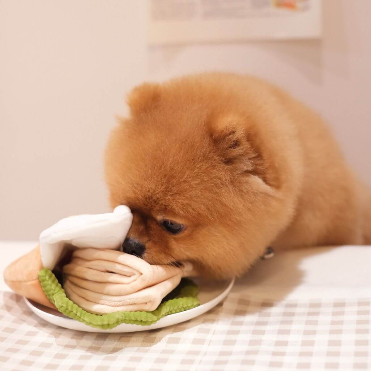 A brown pomeranin with its nose in the Pups and Bubs Pita Pocket Nosework Toy.