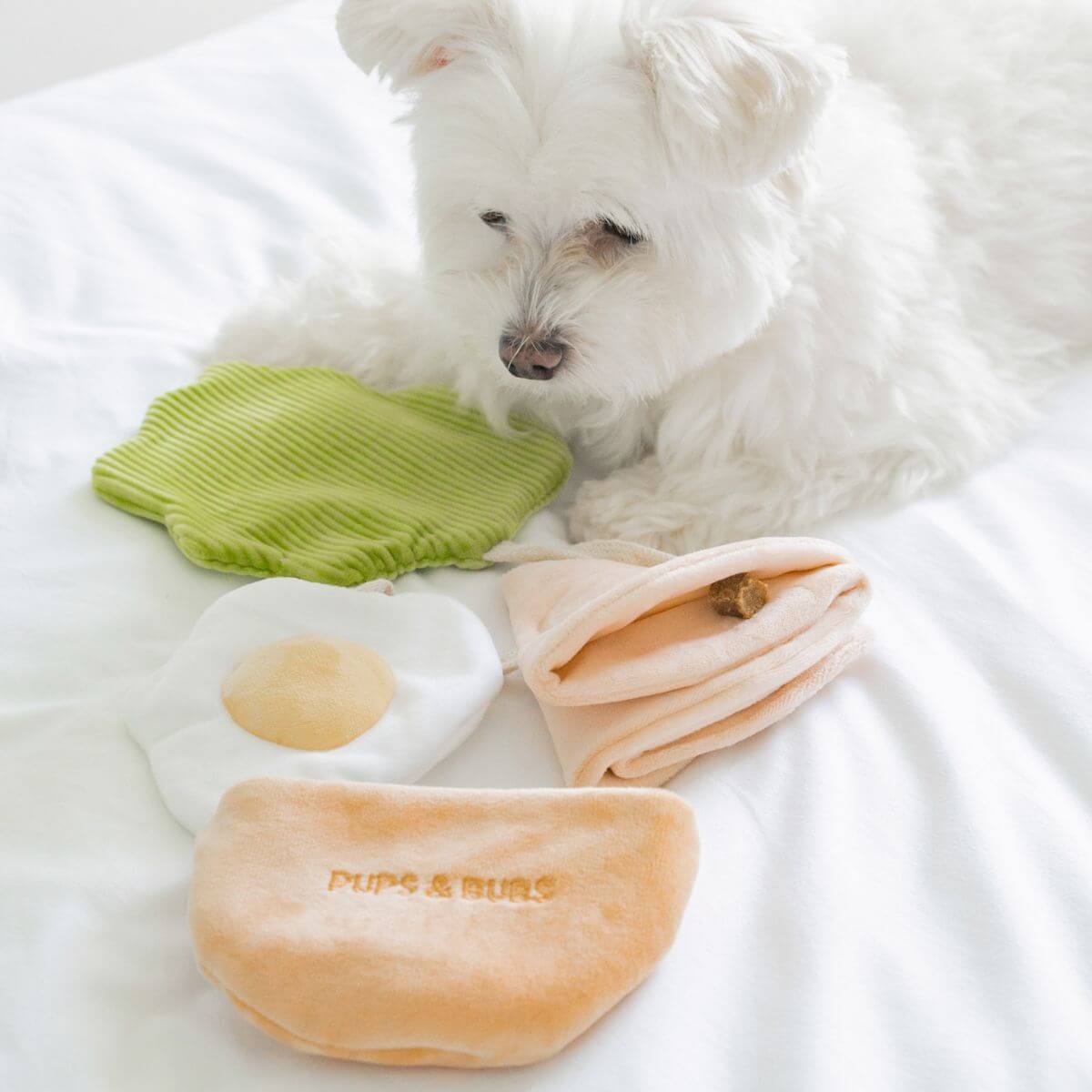 A white dog investigating the Pups and Bubs Pita Pocket on a bed.