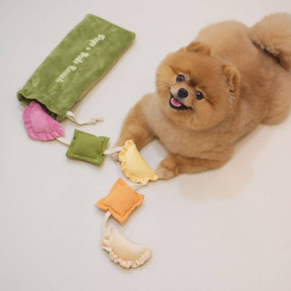 A pomeranian with the Pups and Bubs Ravioli Nosework Toy on a white floor.