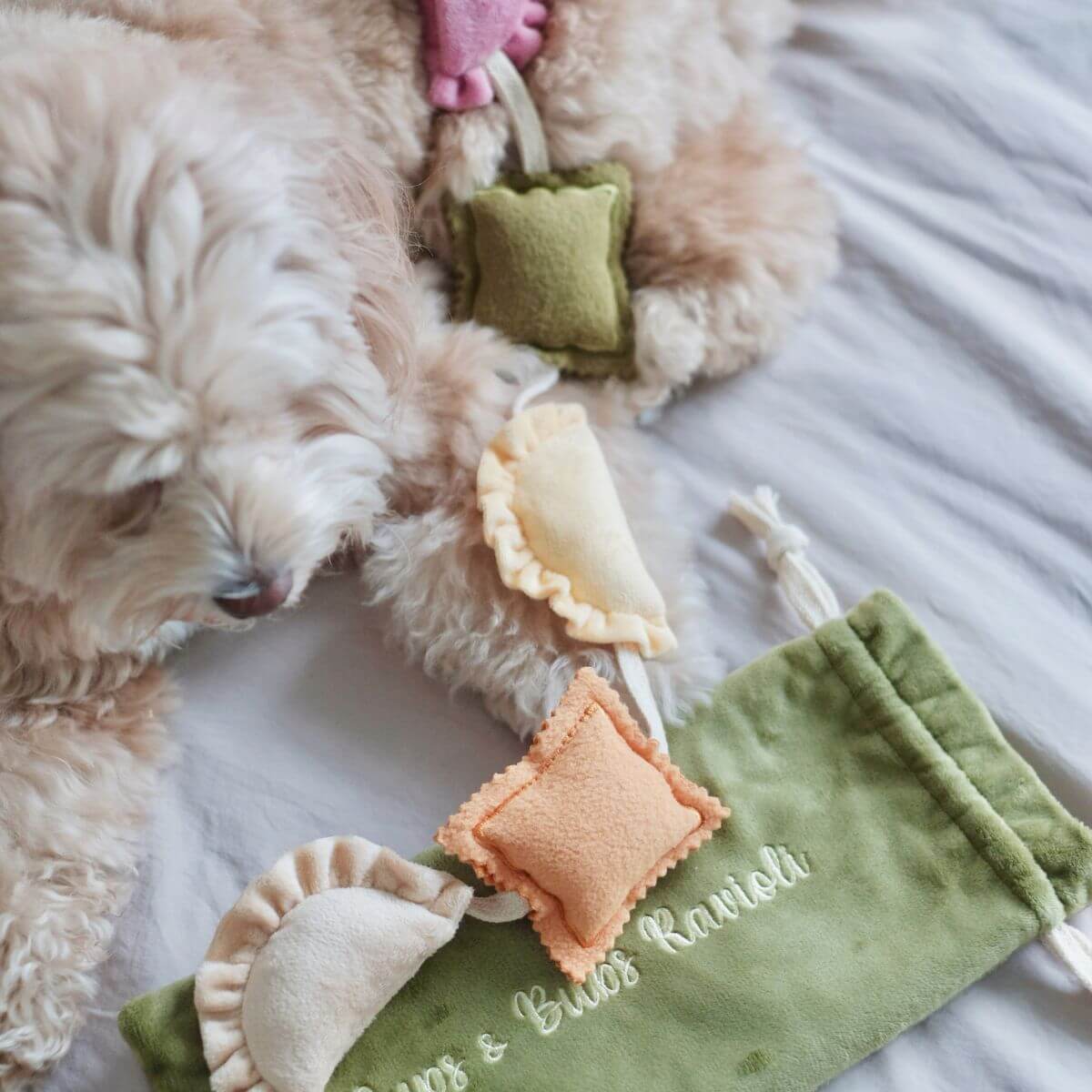 A dog with the Pups and Bubs Ravioli Nosework Toy on a bed.
