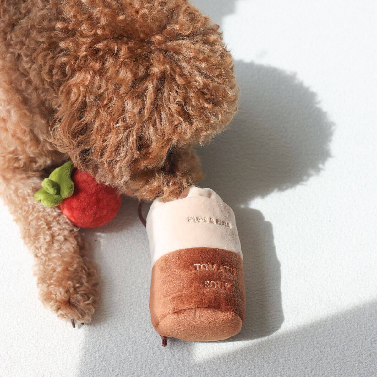 A poodle sniffing the Pups and Bubs Tomato Soup Nosework Toy. 