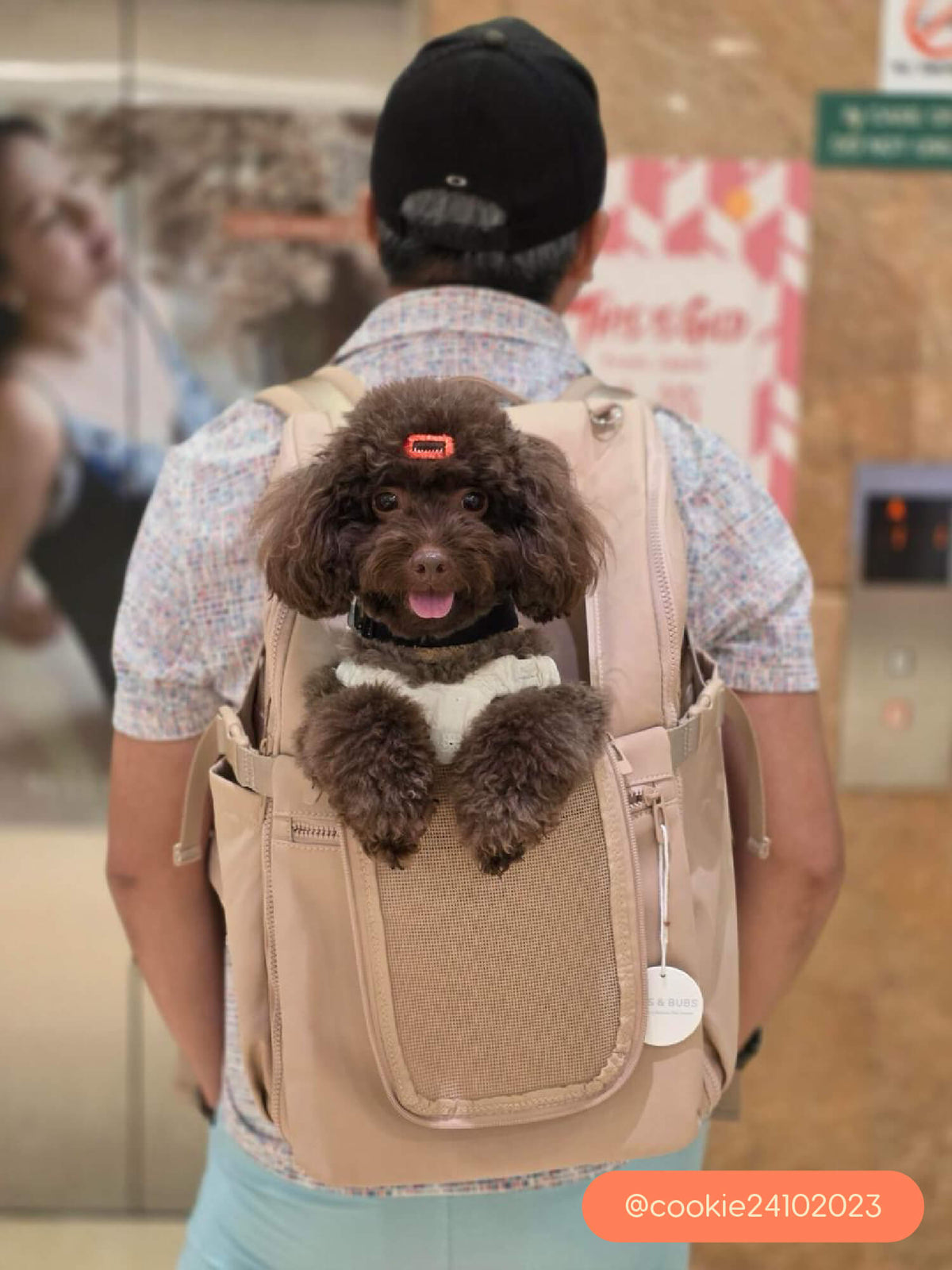 Pups & Bubs Traveller Pet Carrier Backpack