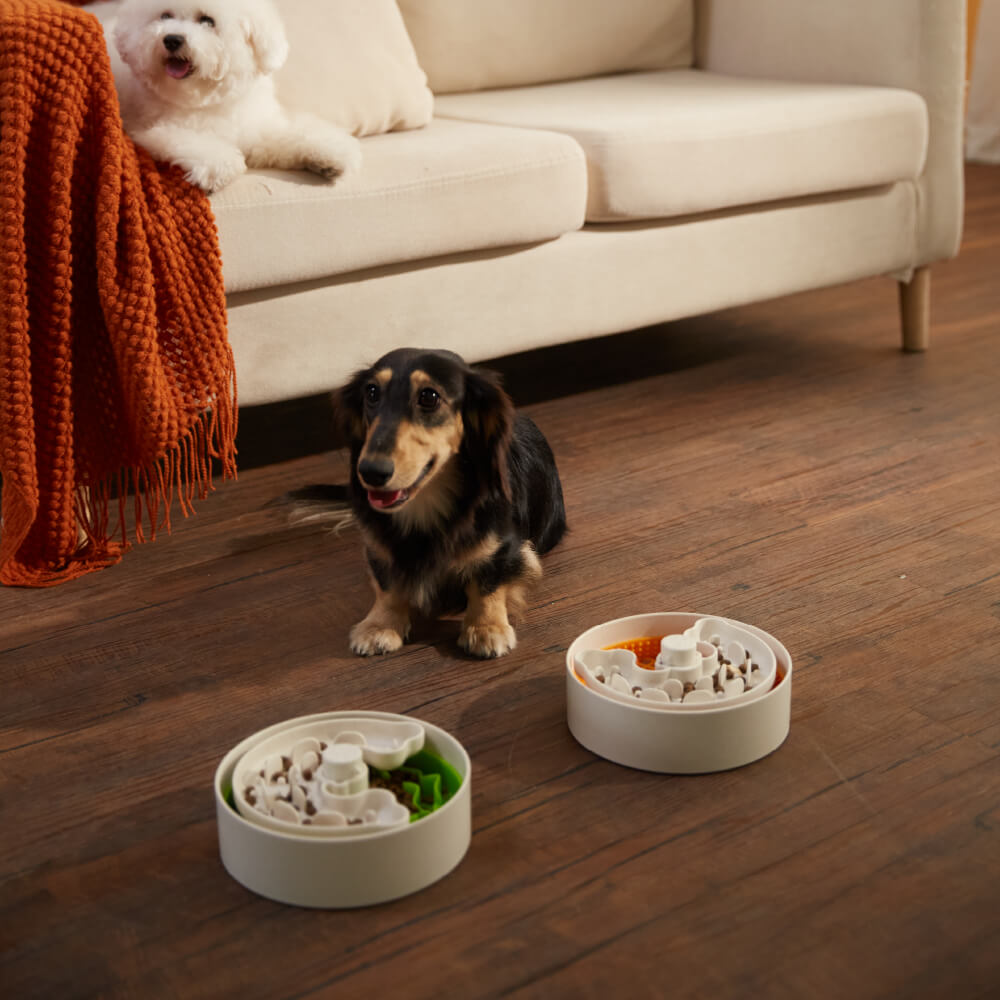 Puzzle Feeder Lite for Puppies and Small Dogs