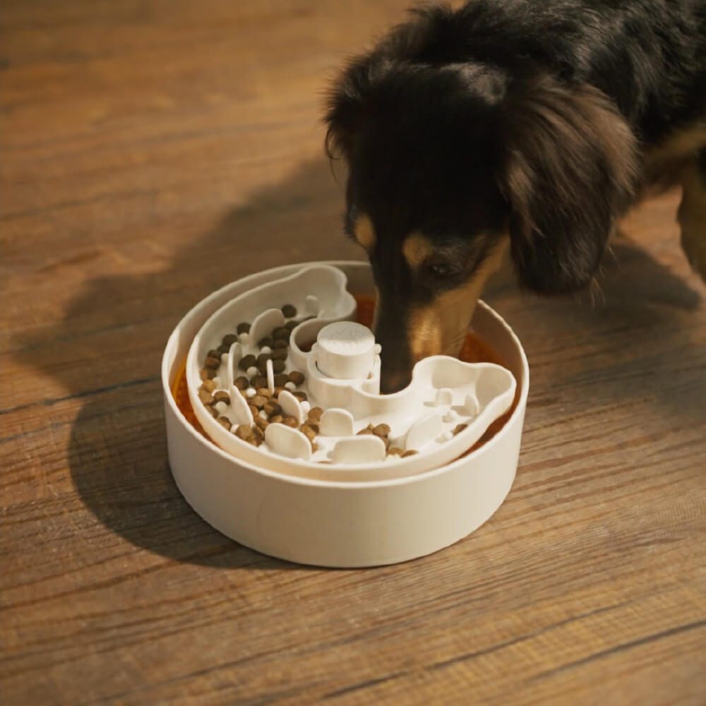 Puzzle Lick Bowl Lite for Puppies and Small Dogs