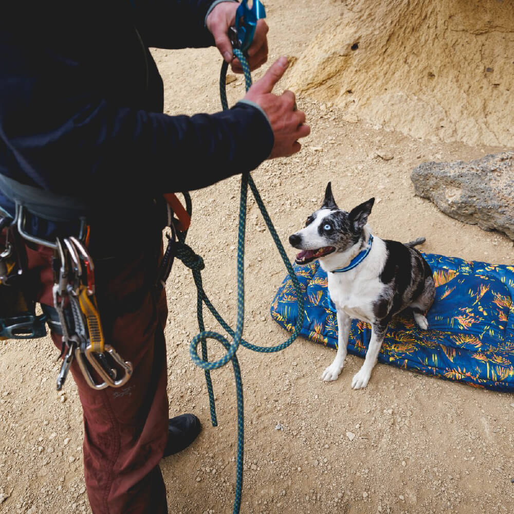 Ruffwear Basecamp™ Foldable Dog Bed