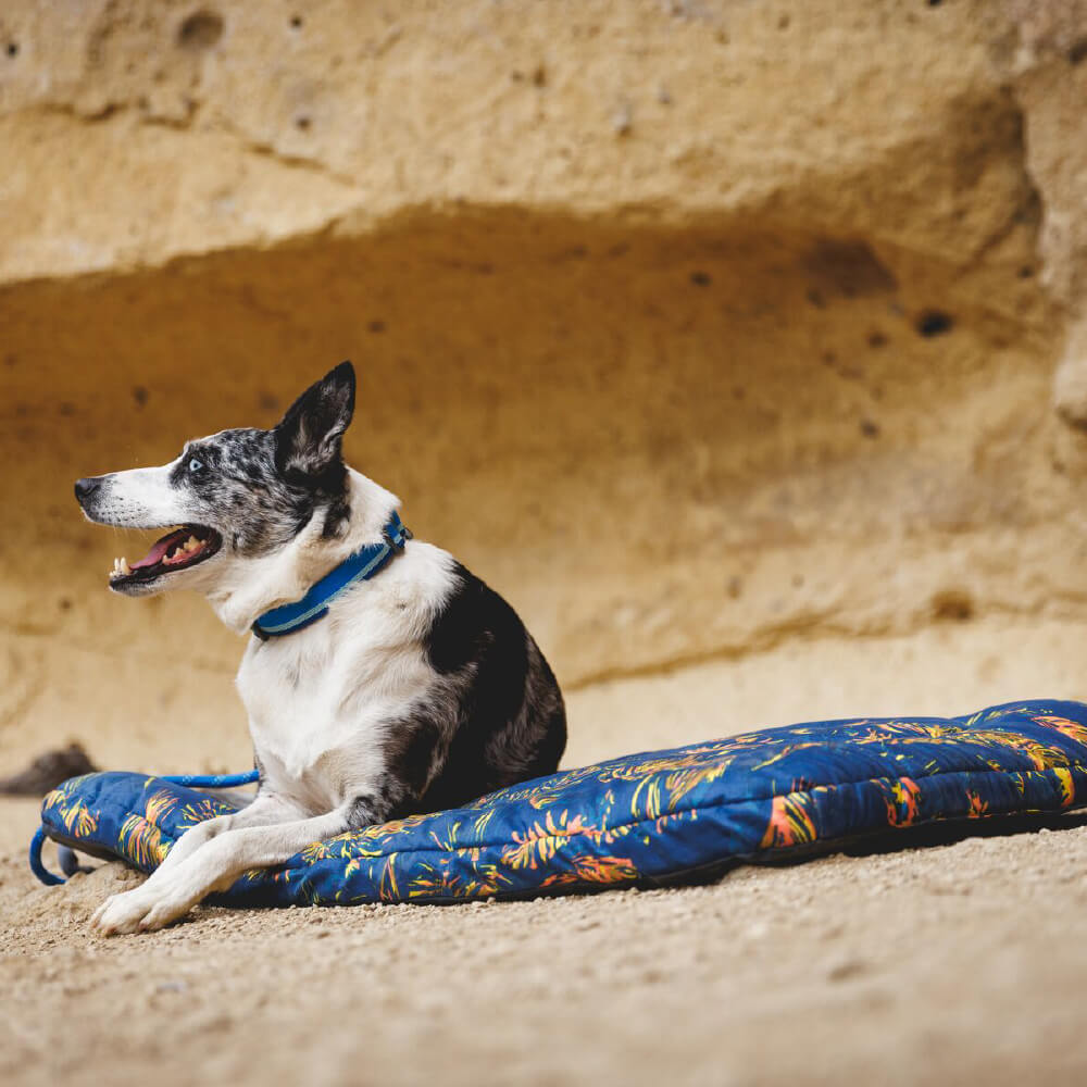 Ruffwear Basecamp™ Foldable Dog Bed